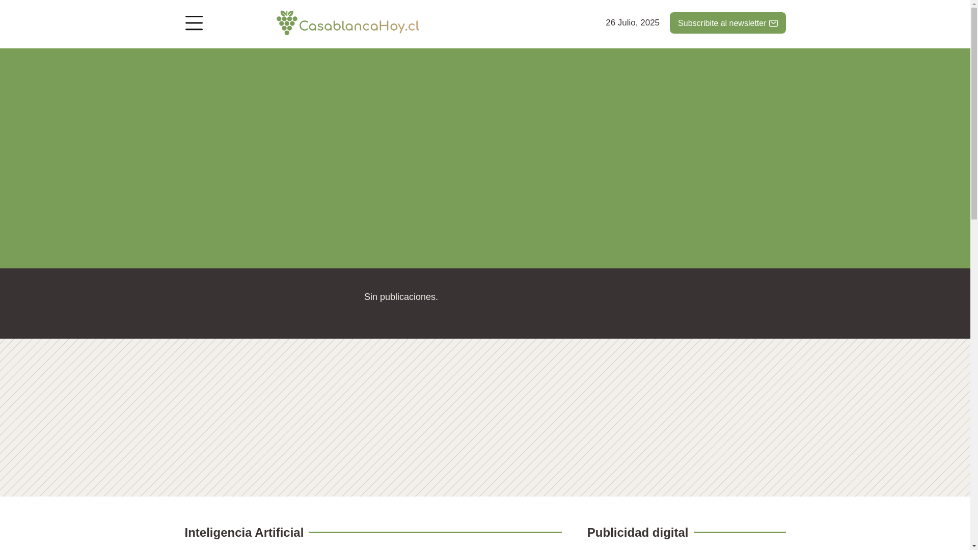 website screenshot of https://puertovarashoy.cl/