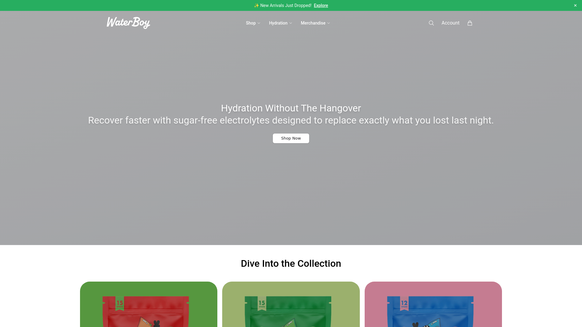 website screenshot of https://getwaterboy.shop/