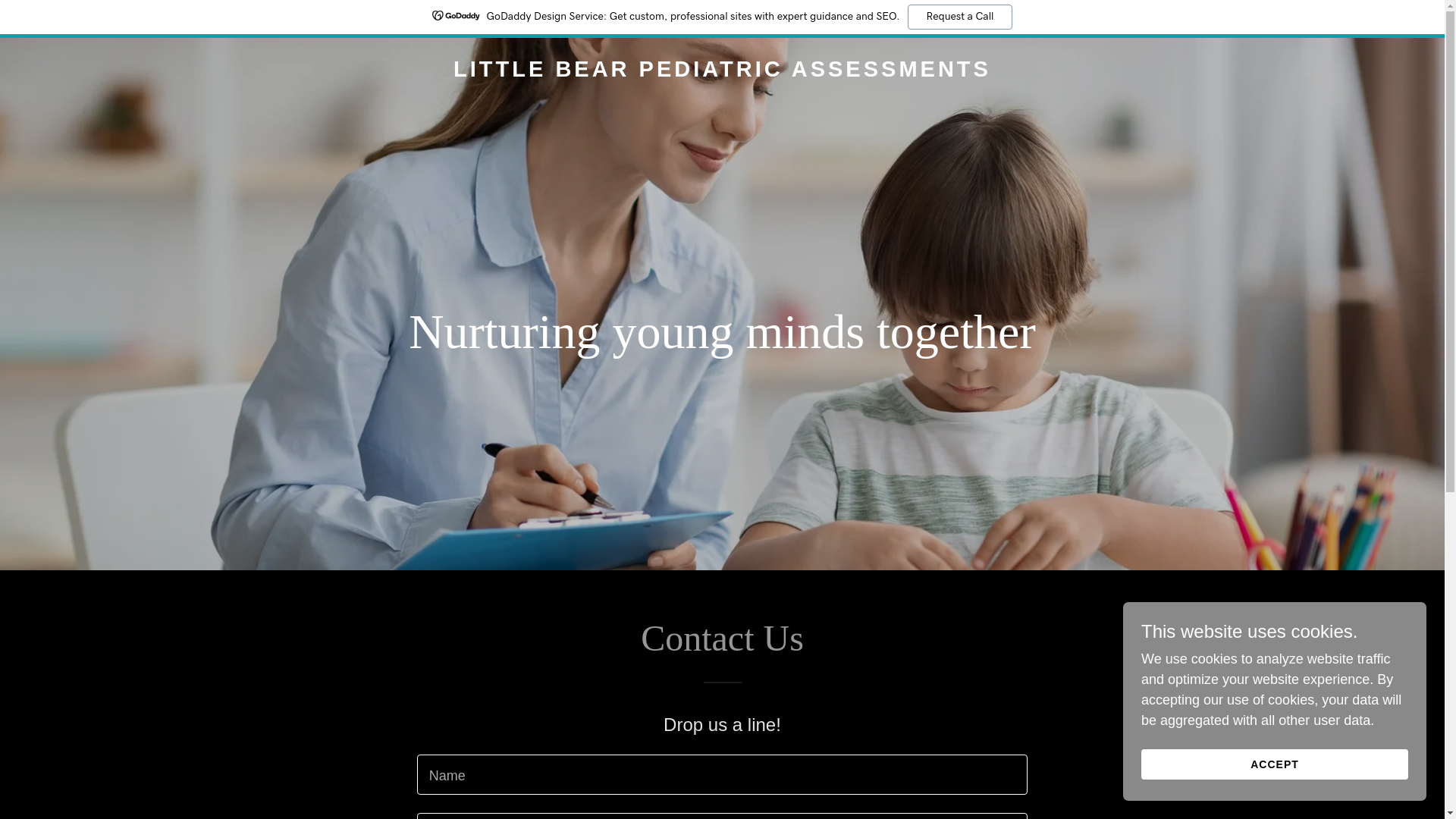 website screenshot of https://teamlittlebear.care/