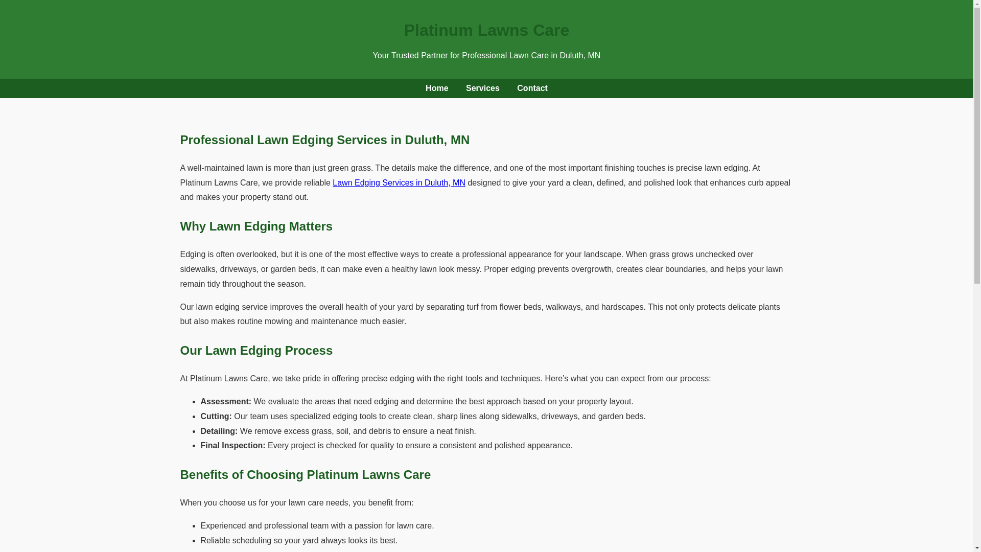 website screenshot of https://lawn-edging-experts-duluth.pages.dev/