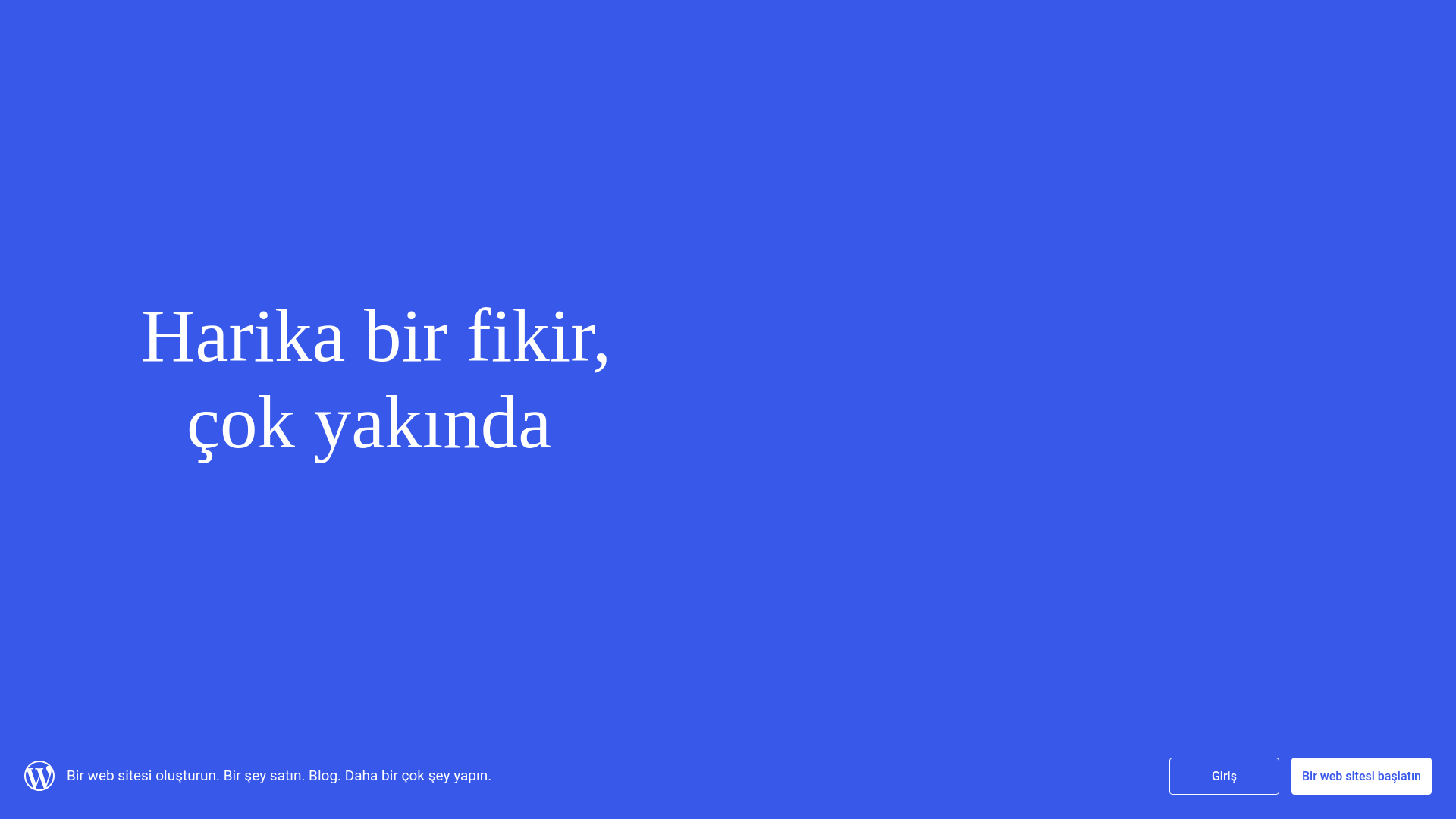 website screenshot of https://aylinayar.blog/