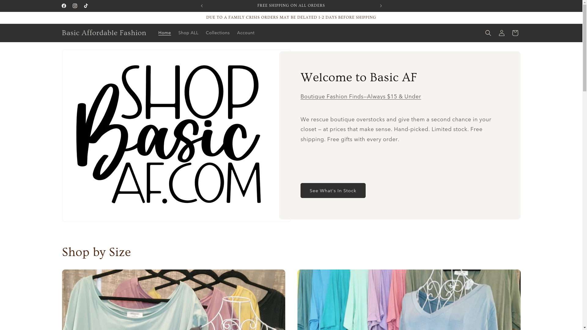 website screenshot of https://basicaffordablefashion.com/