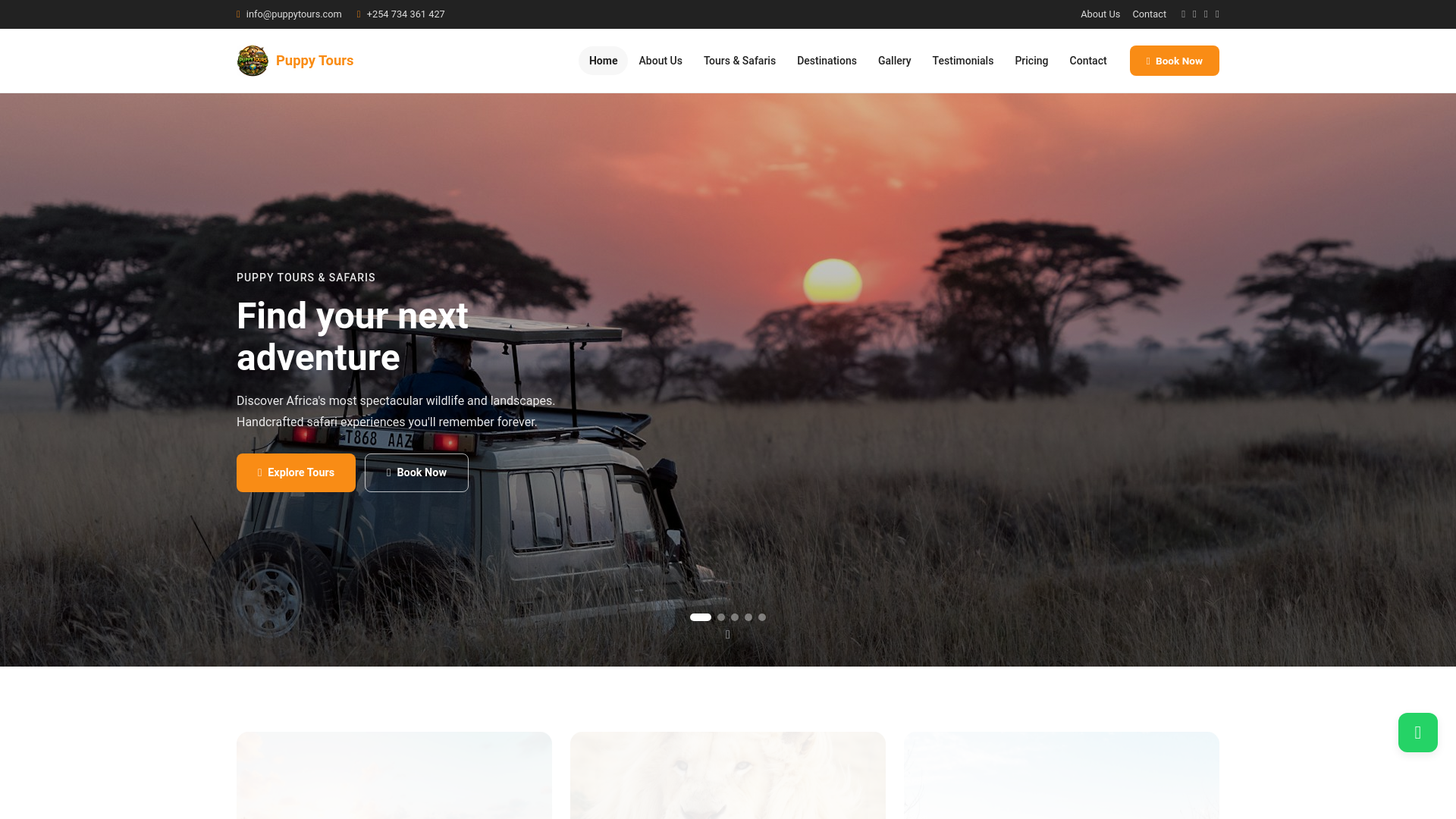 website screenshot of https://puppytourssafaris.com/