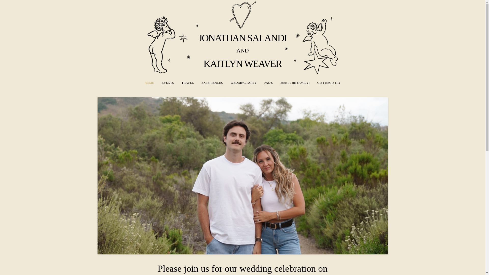 website screenshot of https://weavegotasalandisituation.com/