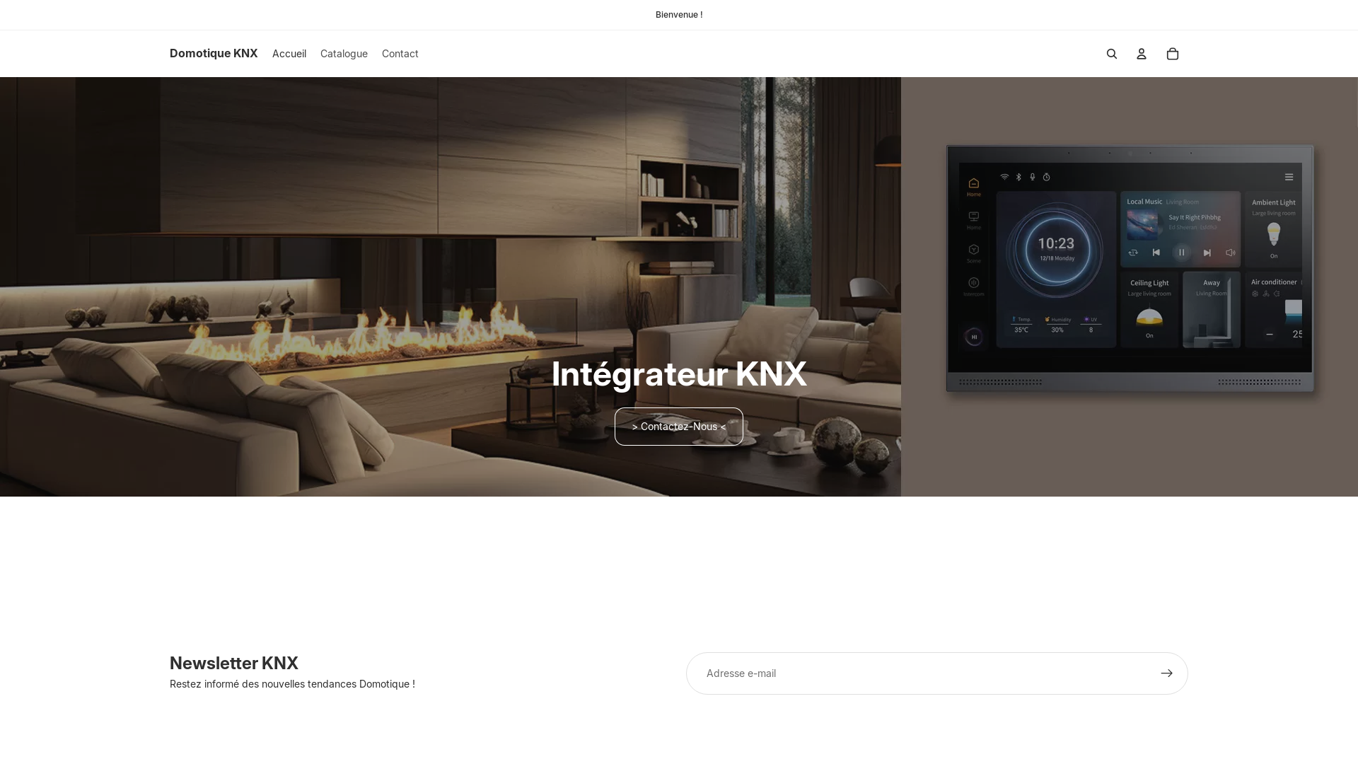 website screenshot of https://domo-clic.com/