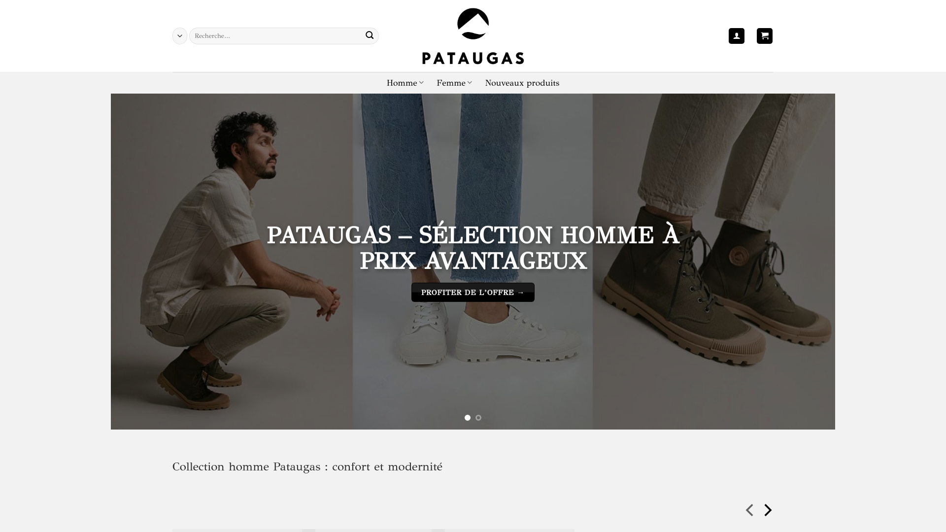 website screenshot of https://pataugass.com/