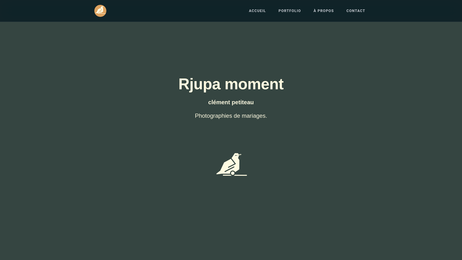 website screenshot of https://rjupa-moment.fr/