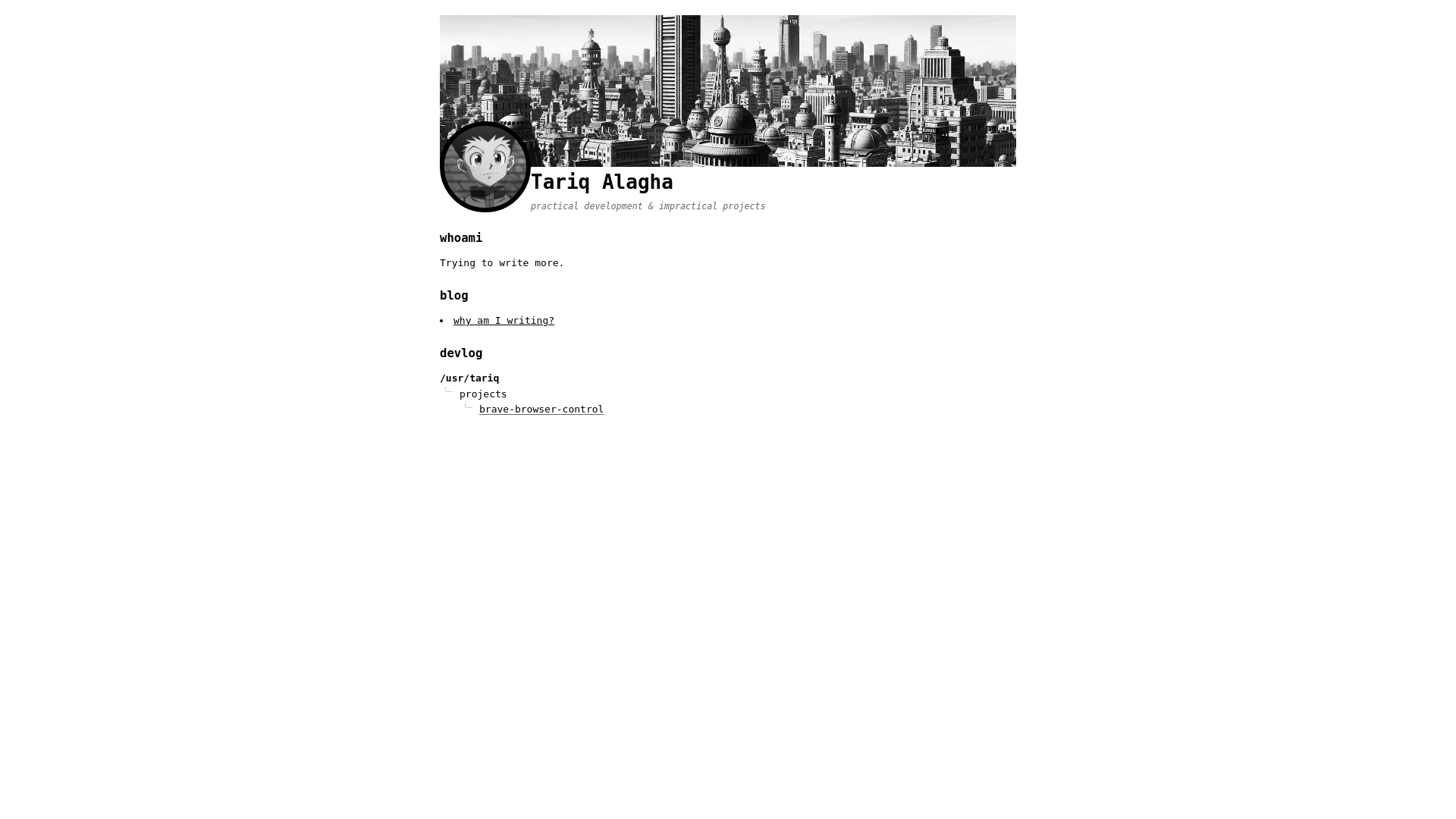 website screenshot of https://alagha.dev/