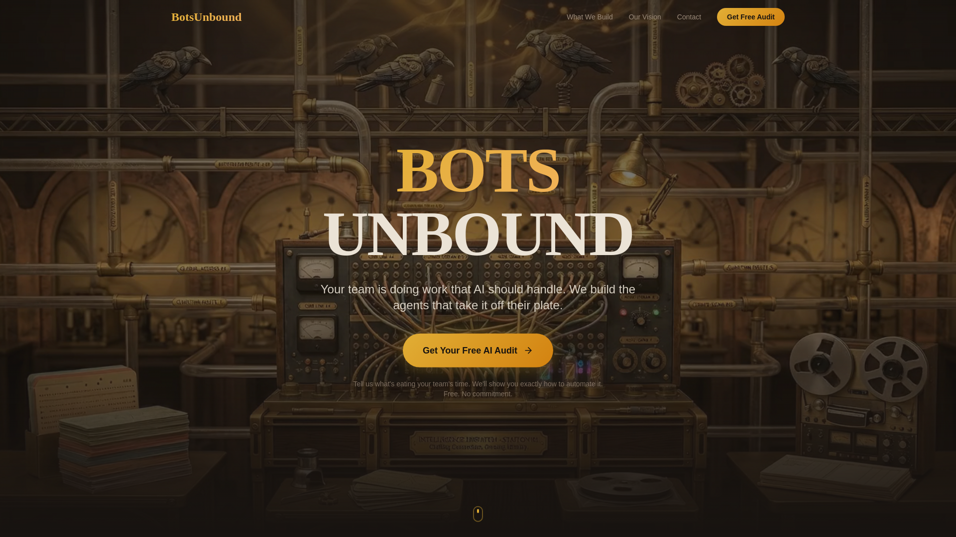 website screenshot of https://botsunbound.com