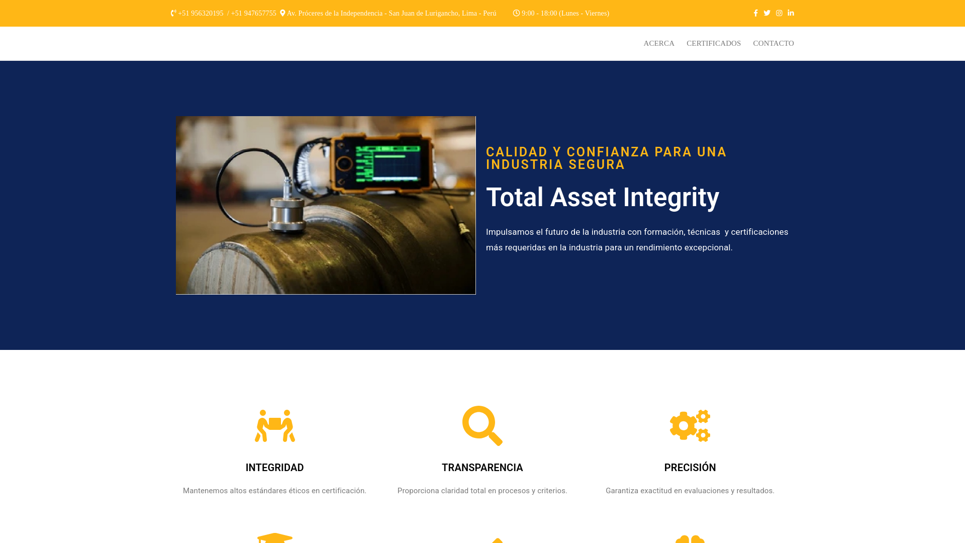 website screenshot of https://ta-integrity.com/