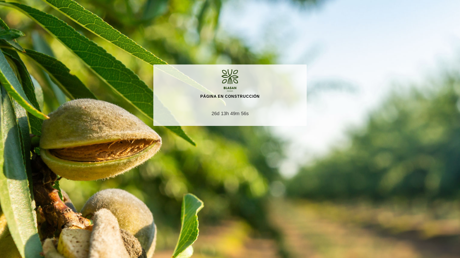 website screenshot of https://blasanfoods.com/