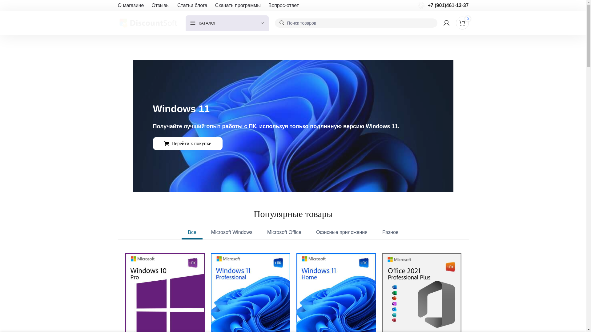 website screenshot of https://www.discountsoft.org/