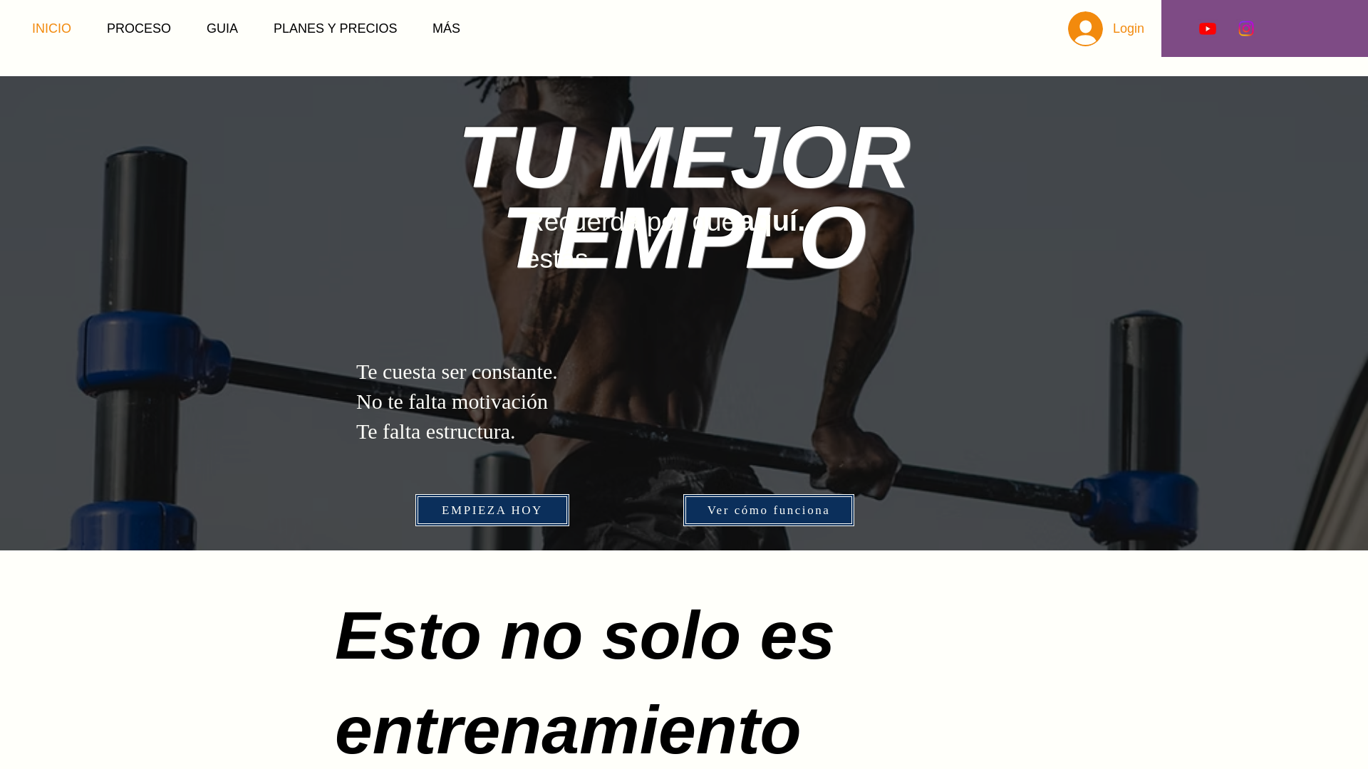 website screenshot of https://tumejortemplo.com/