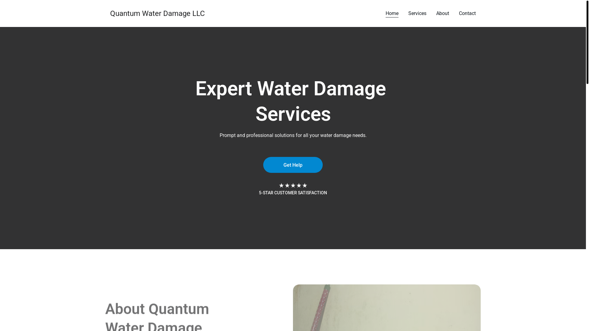 website screenshot of https://quantumwaterdamagellc.site/