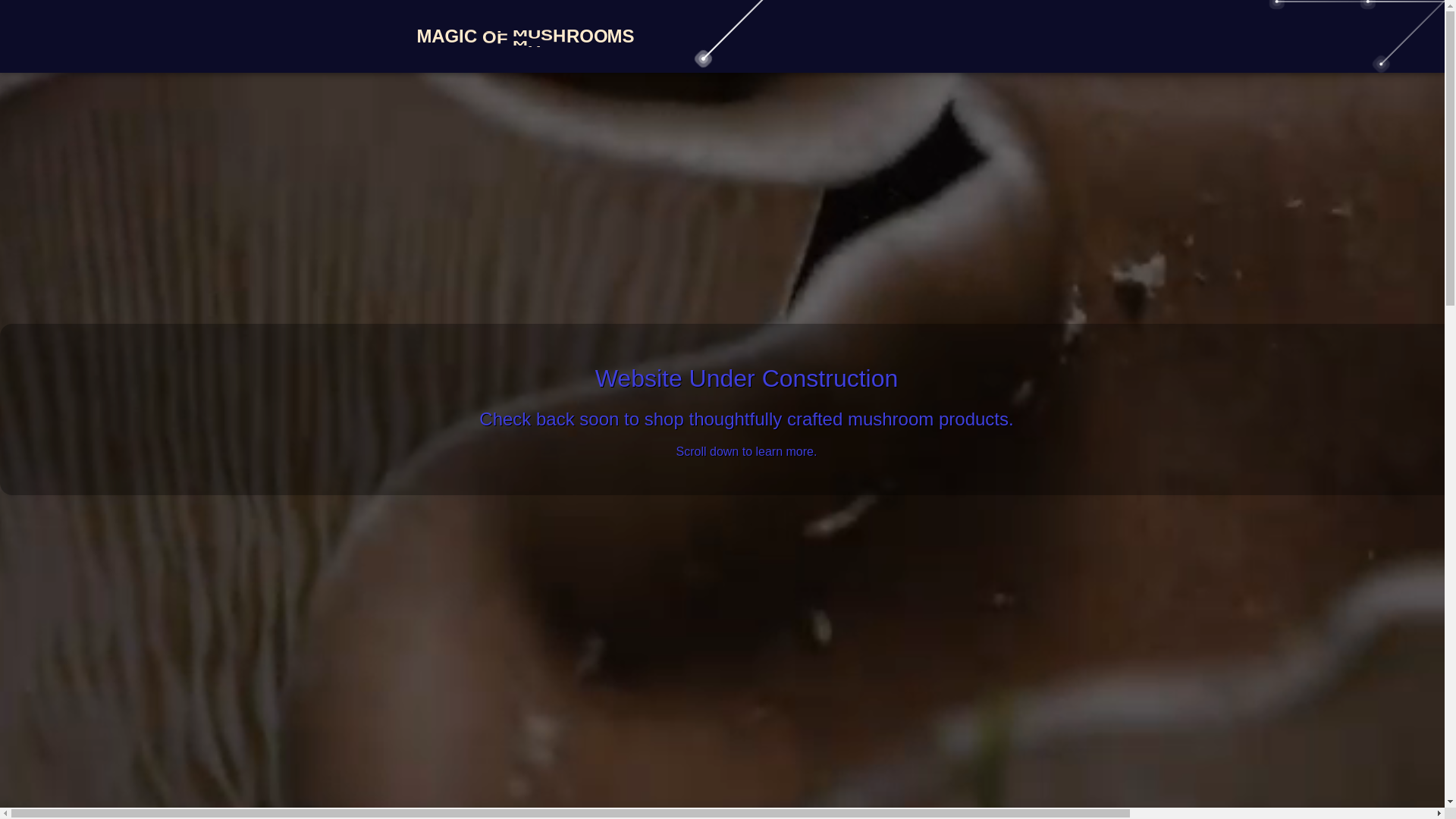 website screenshot of https://mom-frontend-2fy.pages.dev/