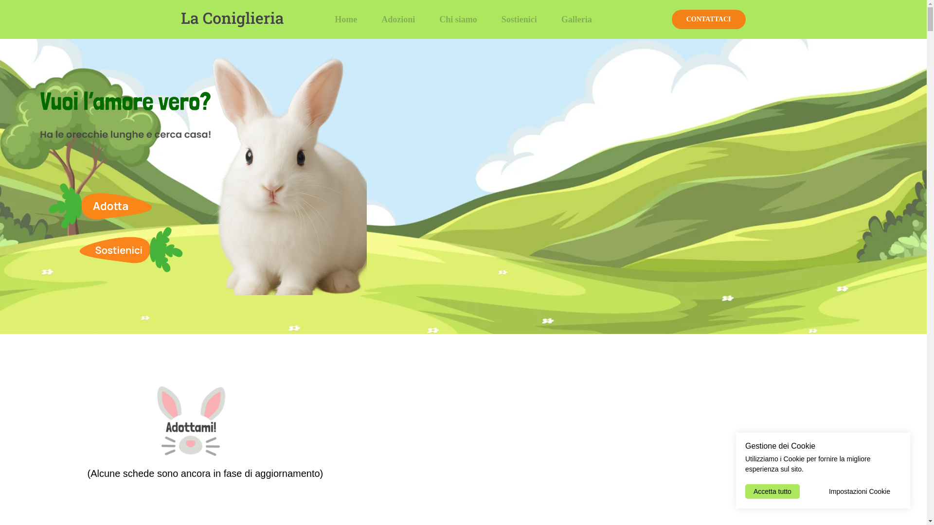 website screenshot of https://laconiglieria.it/