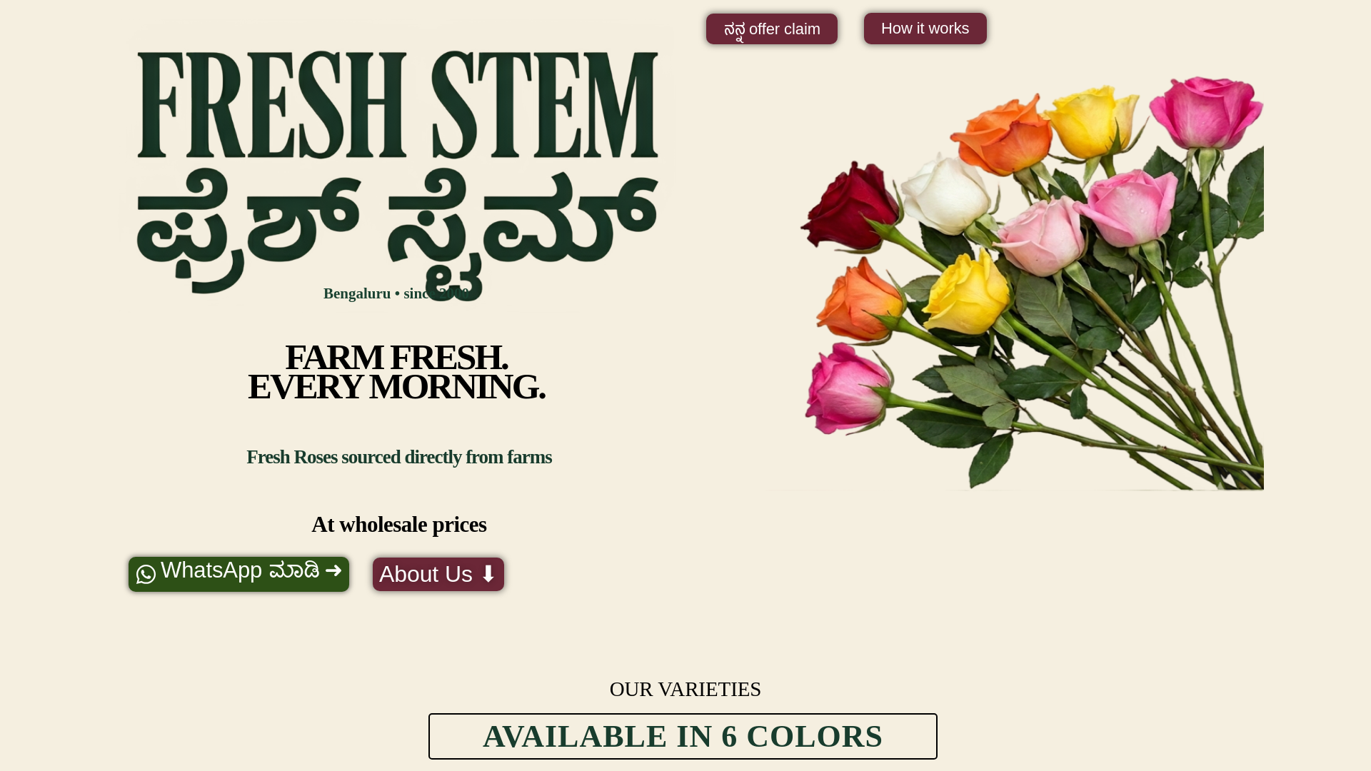 website screenshot of https://freshstem.shop/