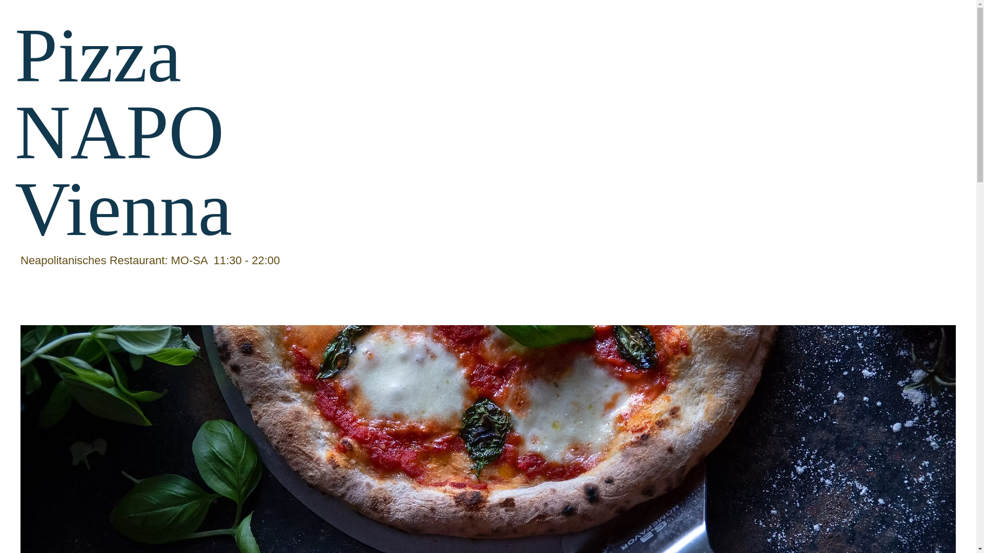 website screenshot of https://pizzanapovienna.com/