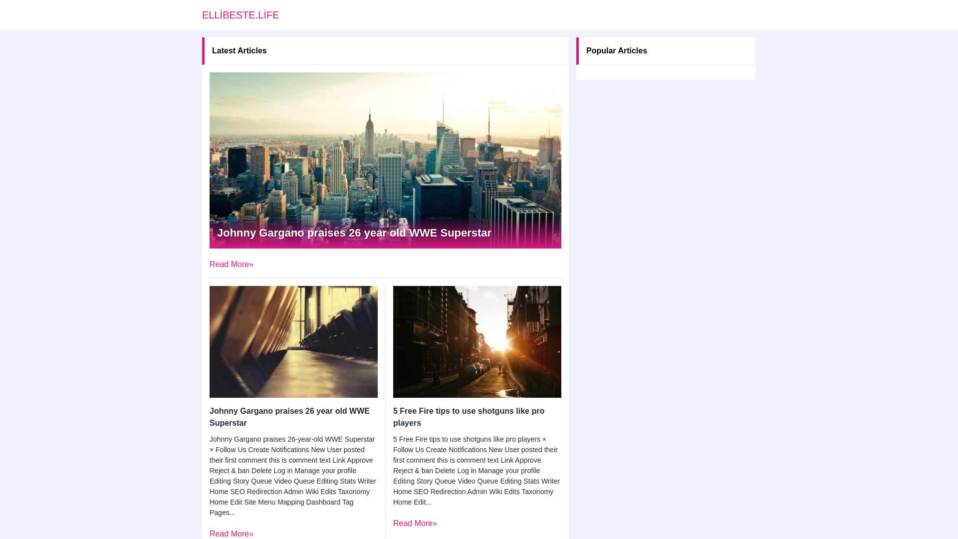 website screenshot of https://ellibeste.life/