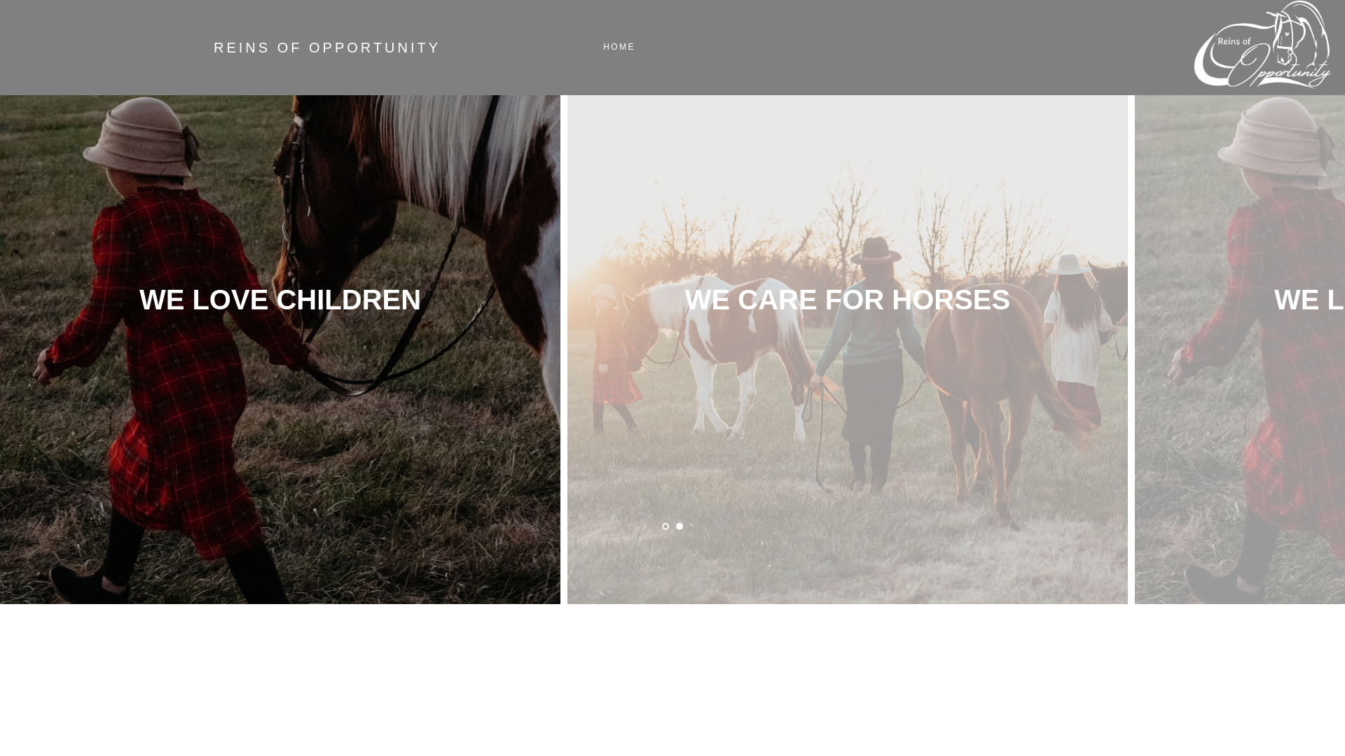 website screenshot of https://reinsofopportunity-replica.pages.dev/
