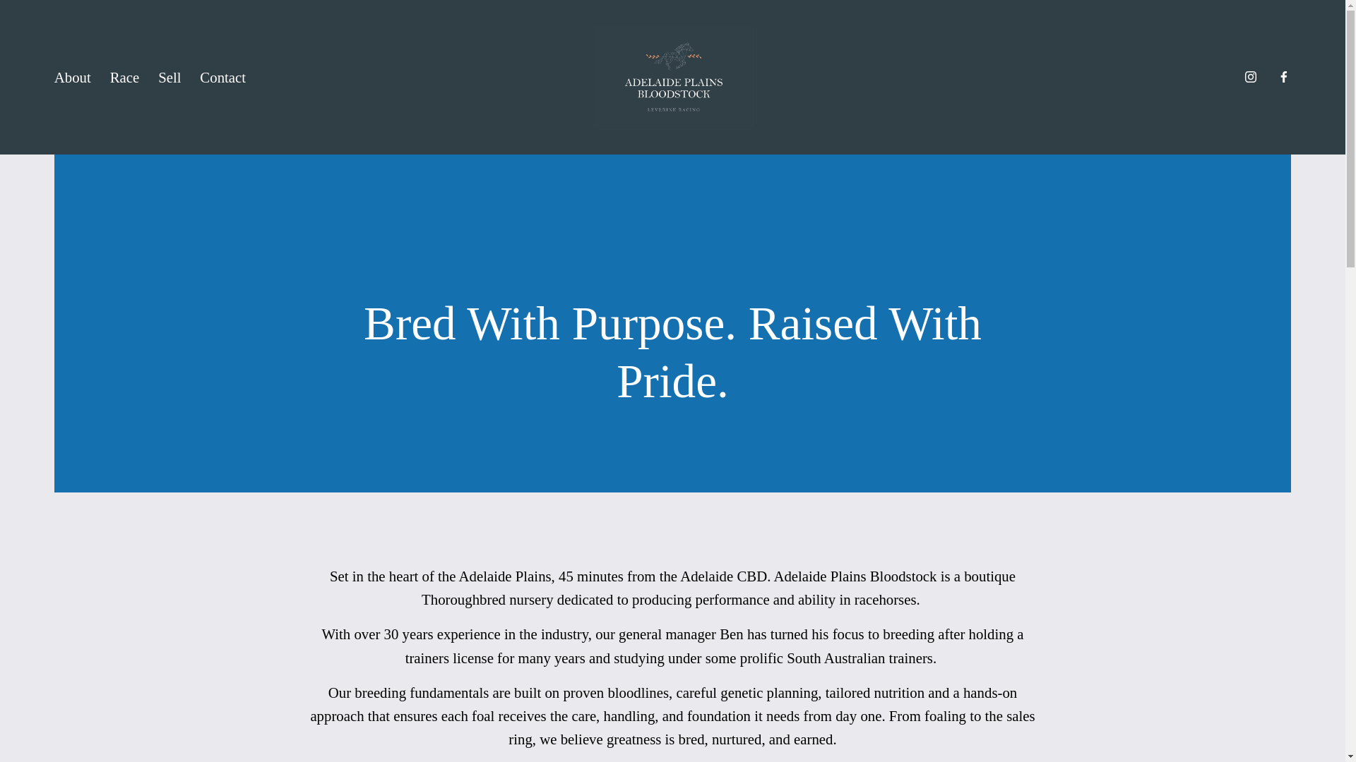 website screenshot of https://adelaideplains.net/