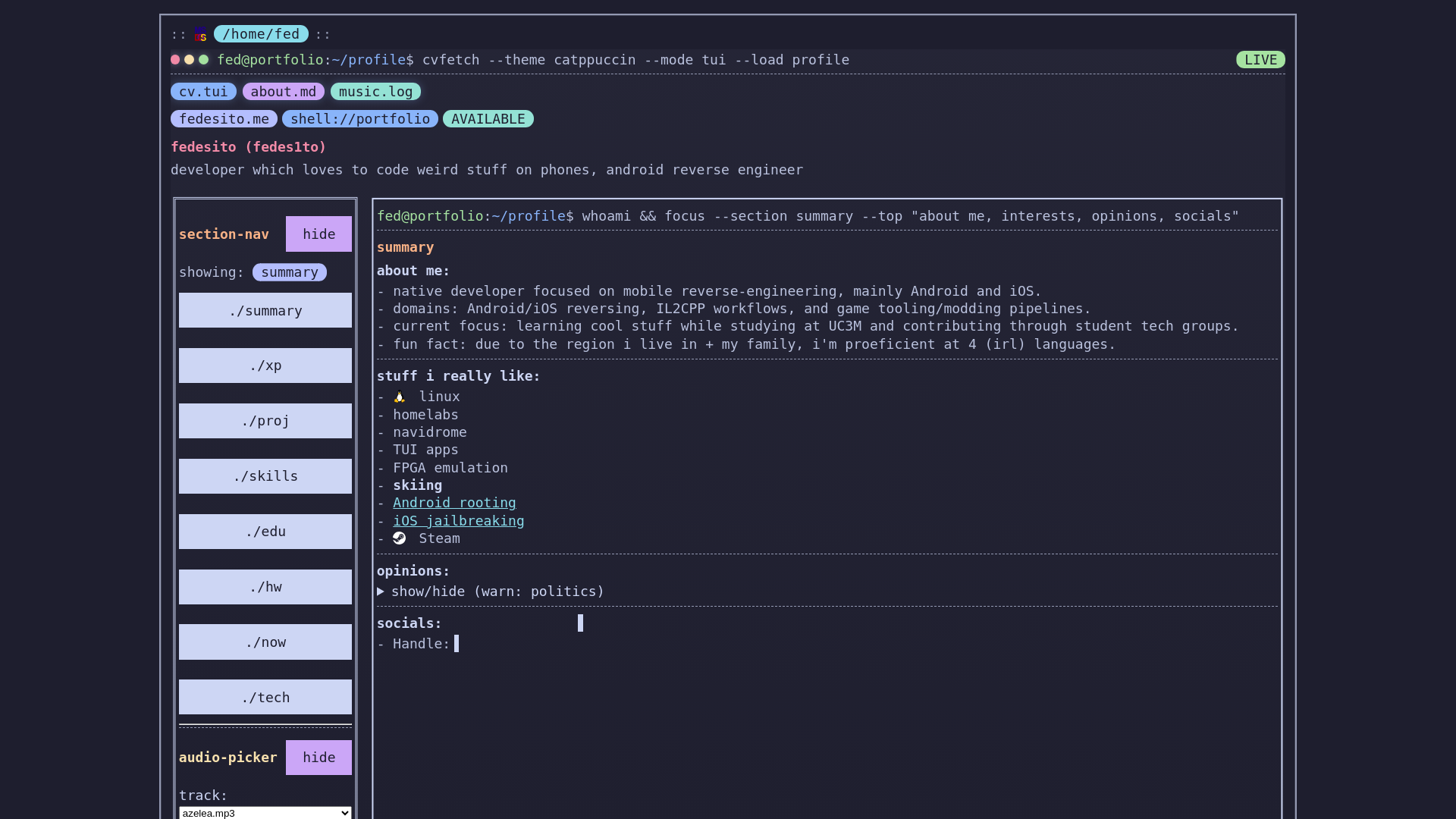 website screenshot of https://fedesito.me