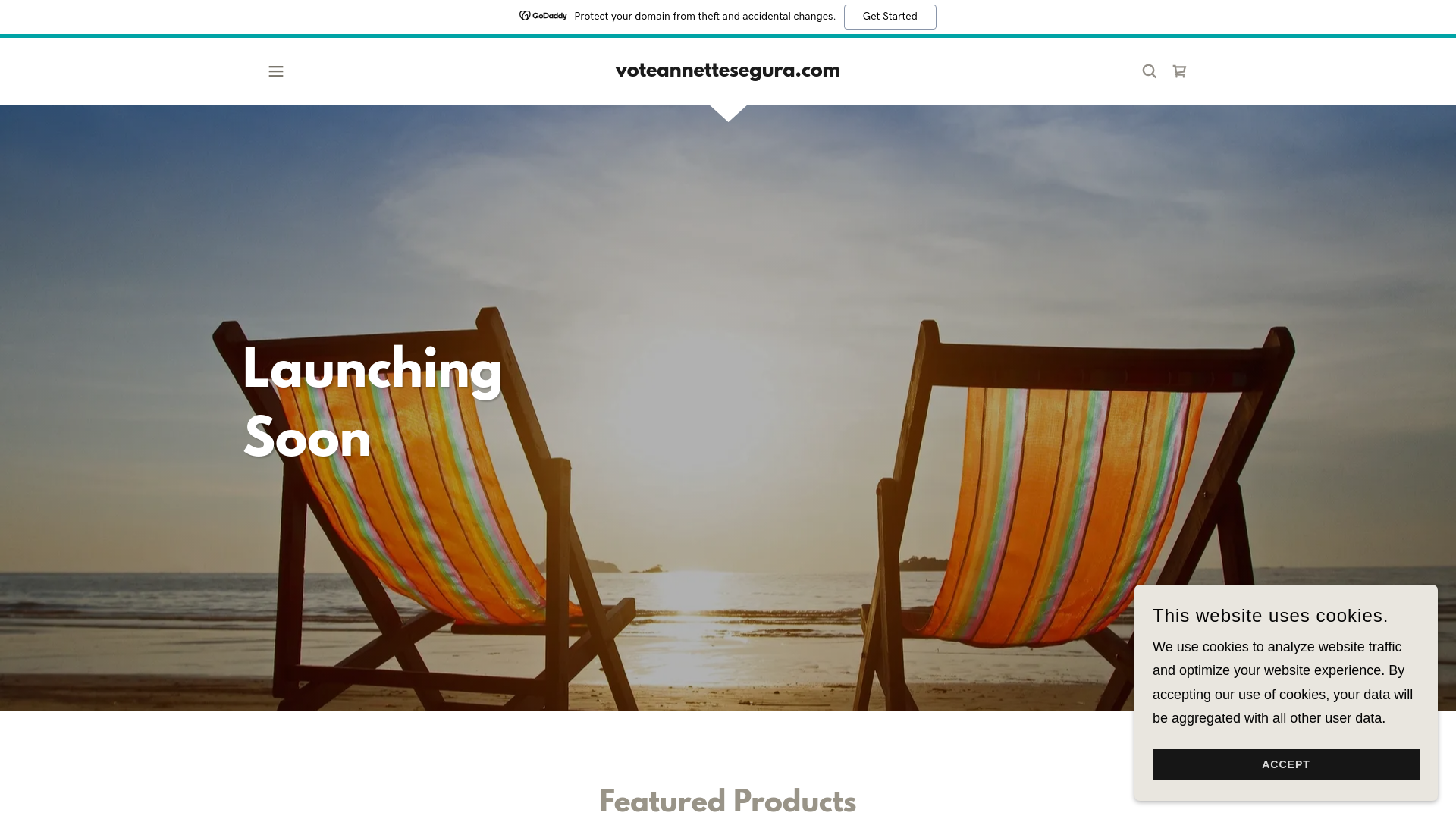 website screenshot of https://voteannettesegura.com/