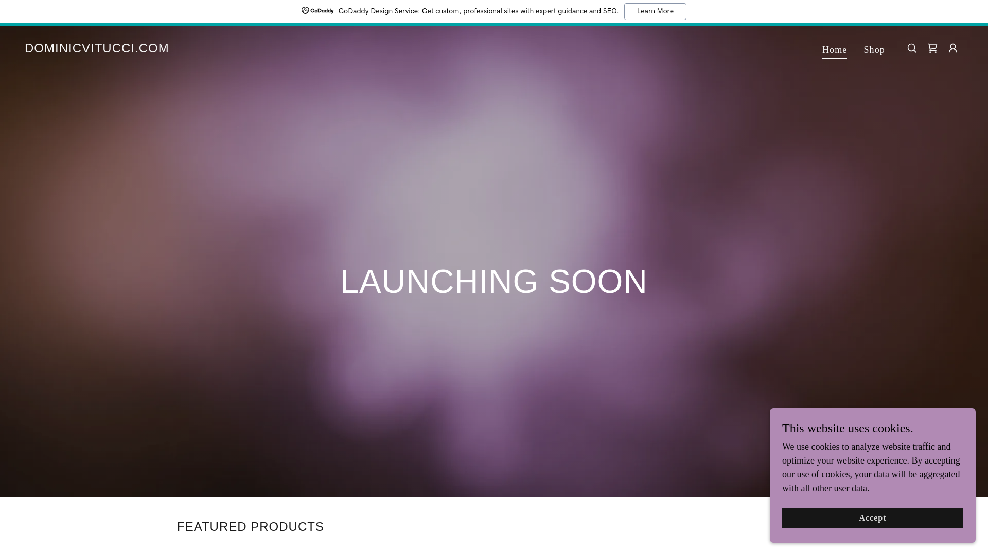 website screenshot of https://dominicvitucci.com/