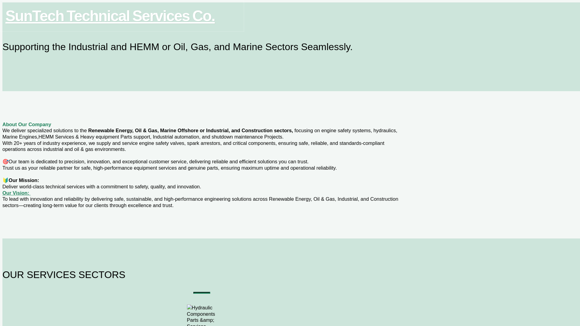 website screenshot of https://suntechasian.com/