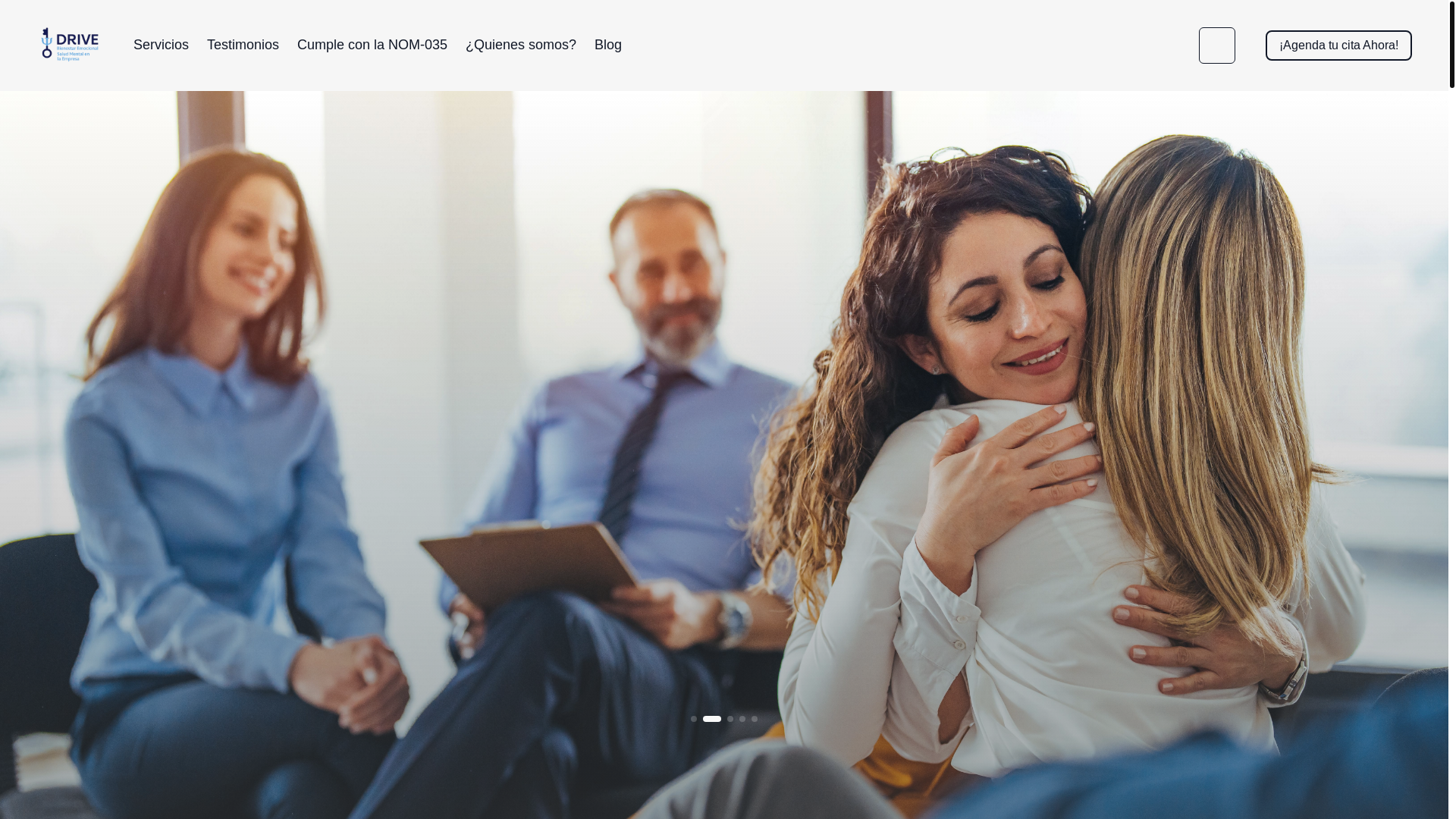 website screenshot of https://drivebienestar.com/