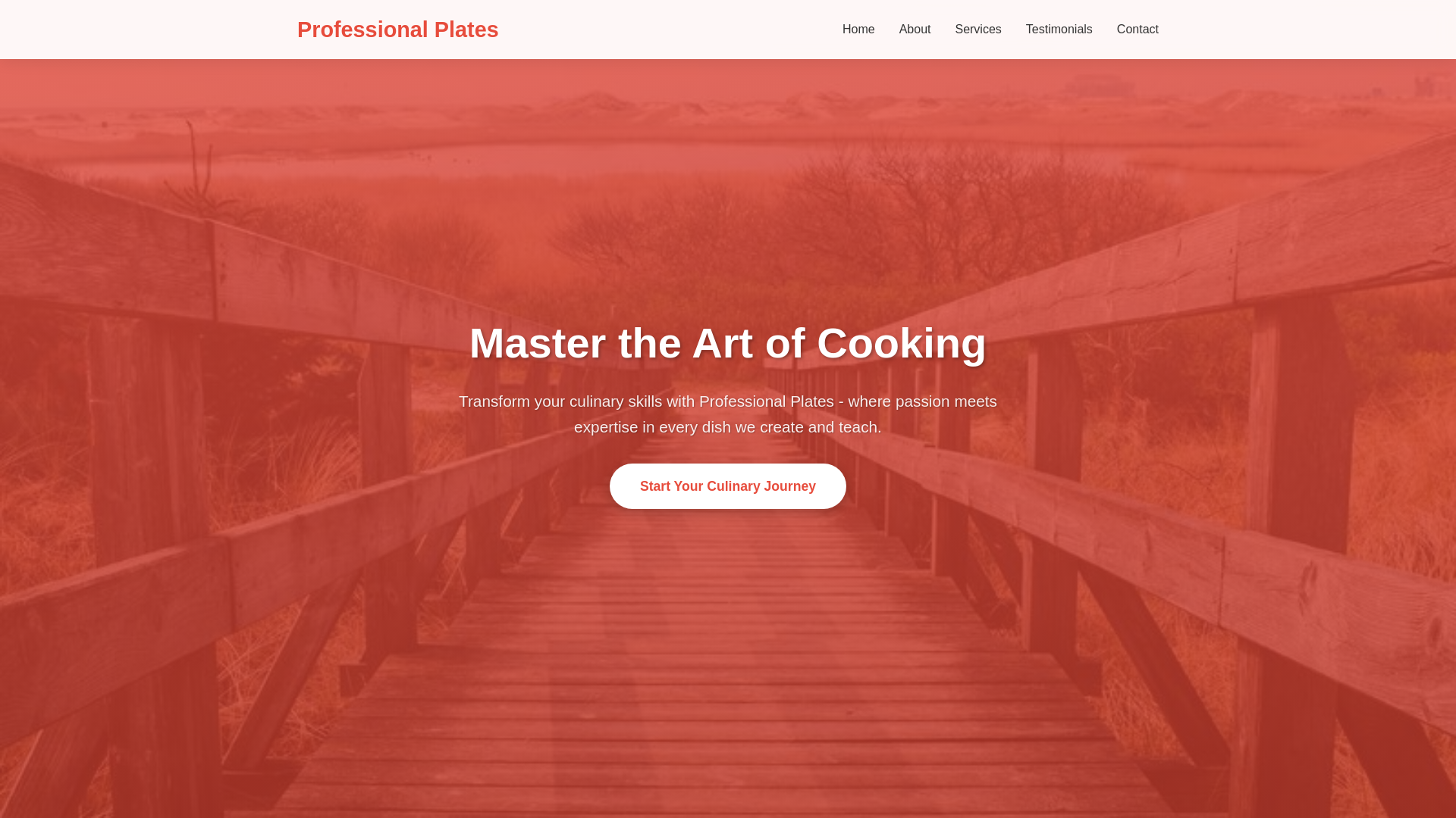 website screenshot of https://professionalplates.sbs/