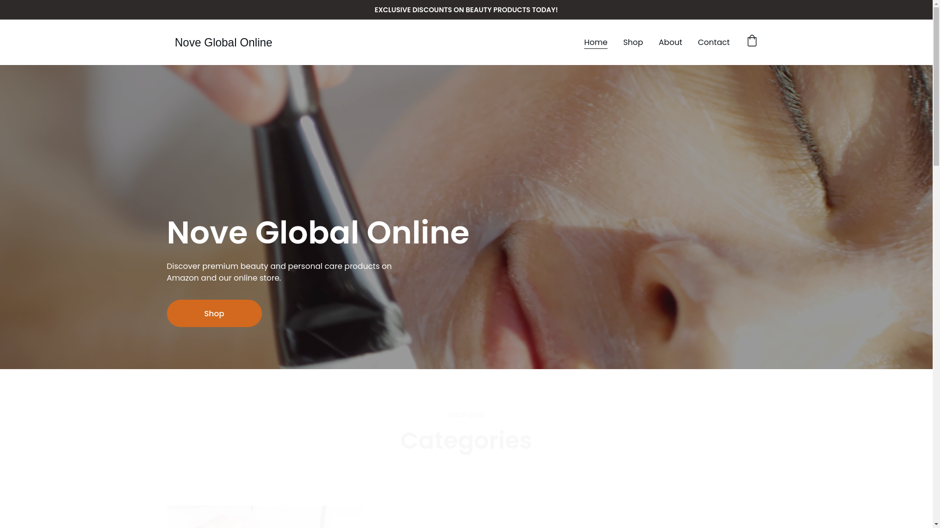 website screenshot of https://noveglobal.online/