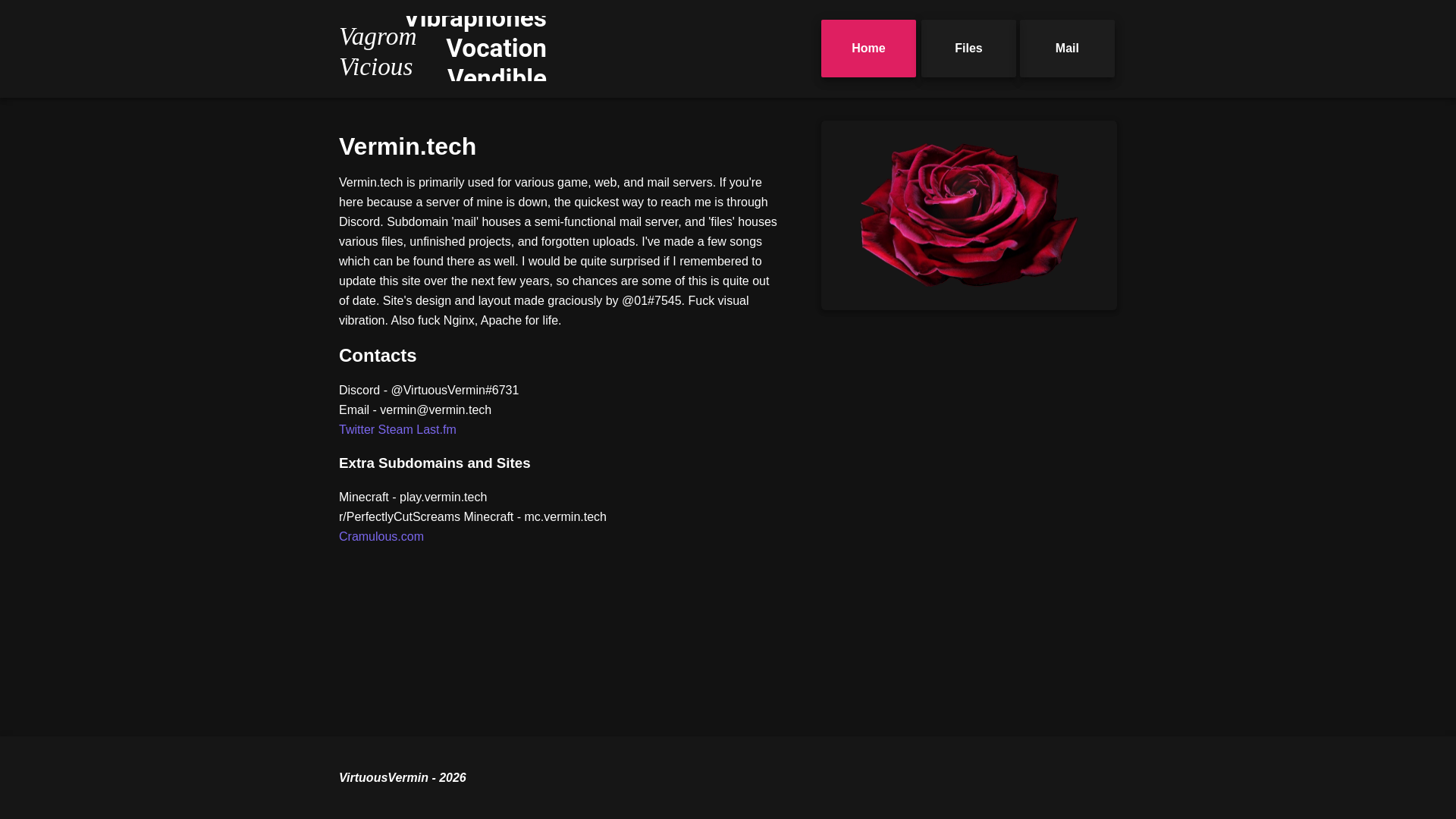 website screenshot of https://vverm.in/