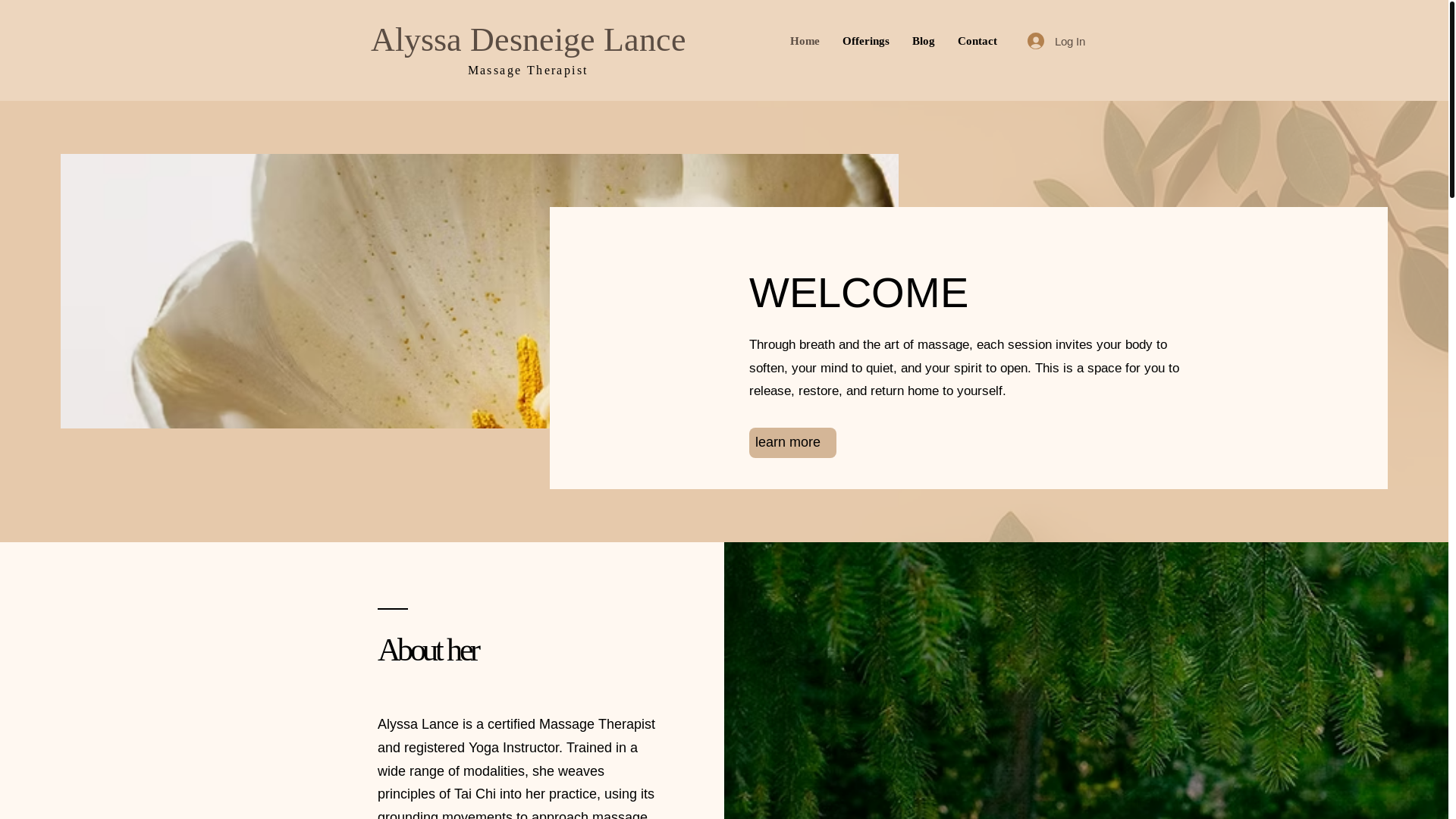 website screenshot of https://adlbodywork.com/