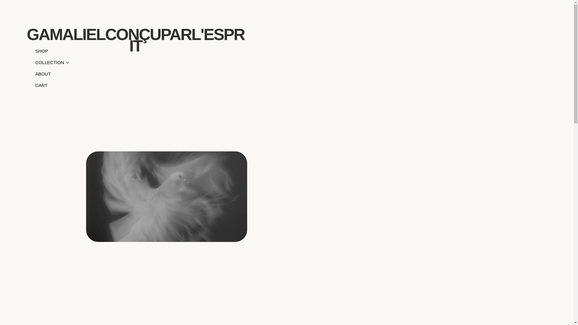 website screenshot of https://gamalielconcuparlespri.com/