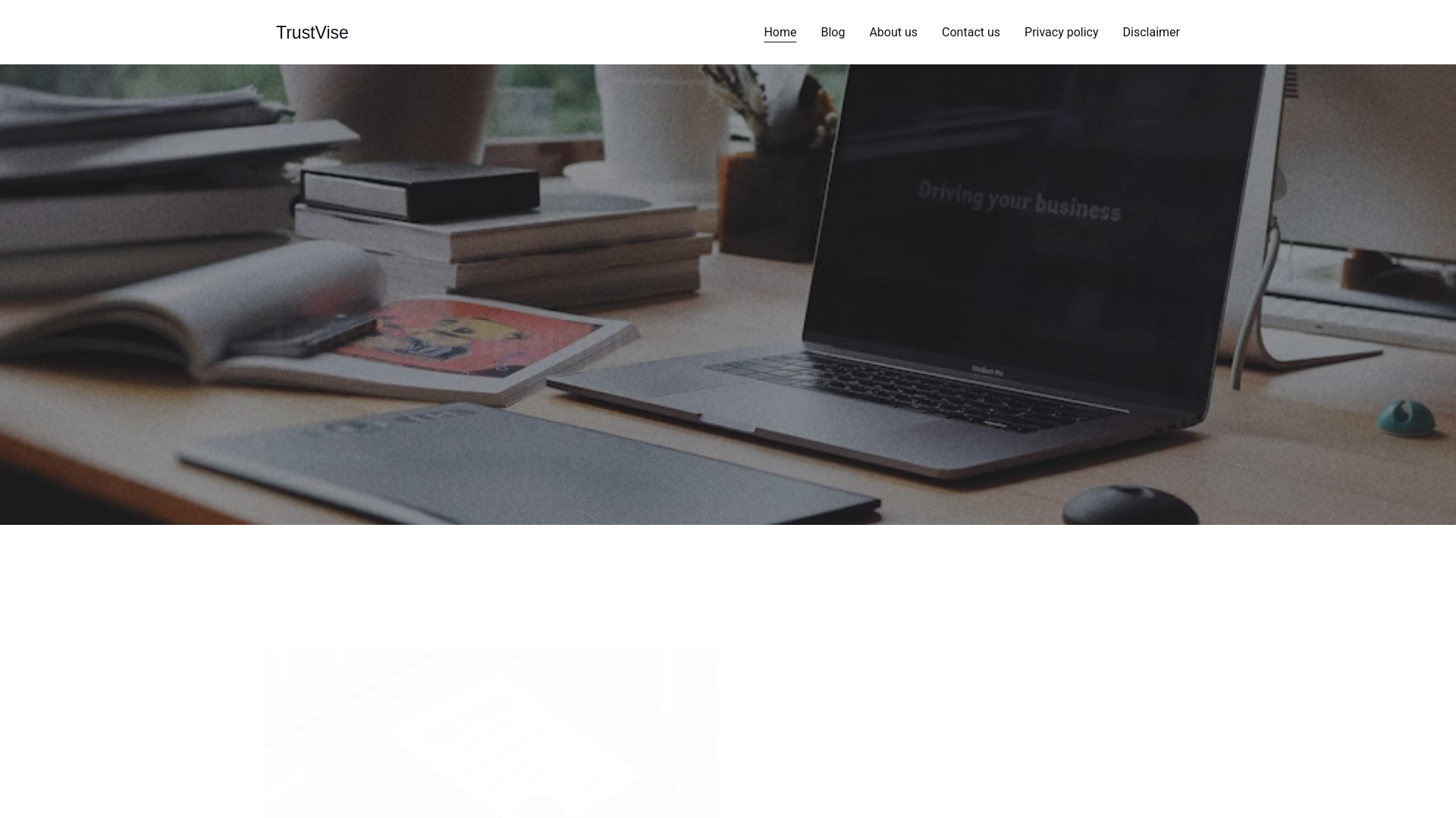 website screenshot of https://trustvise.online/