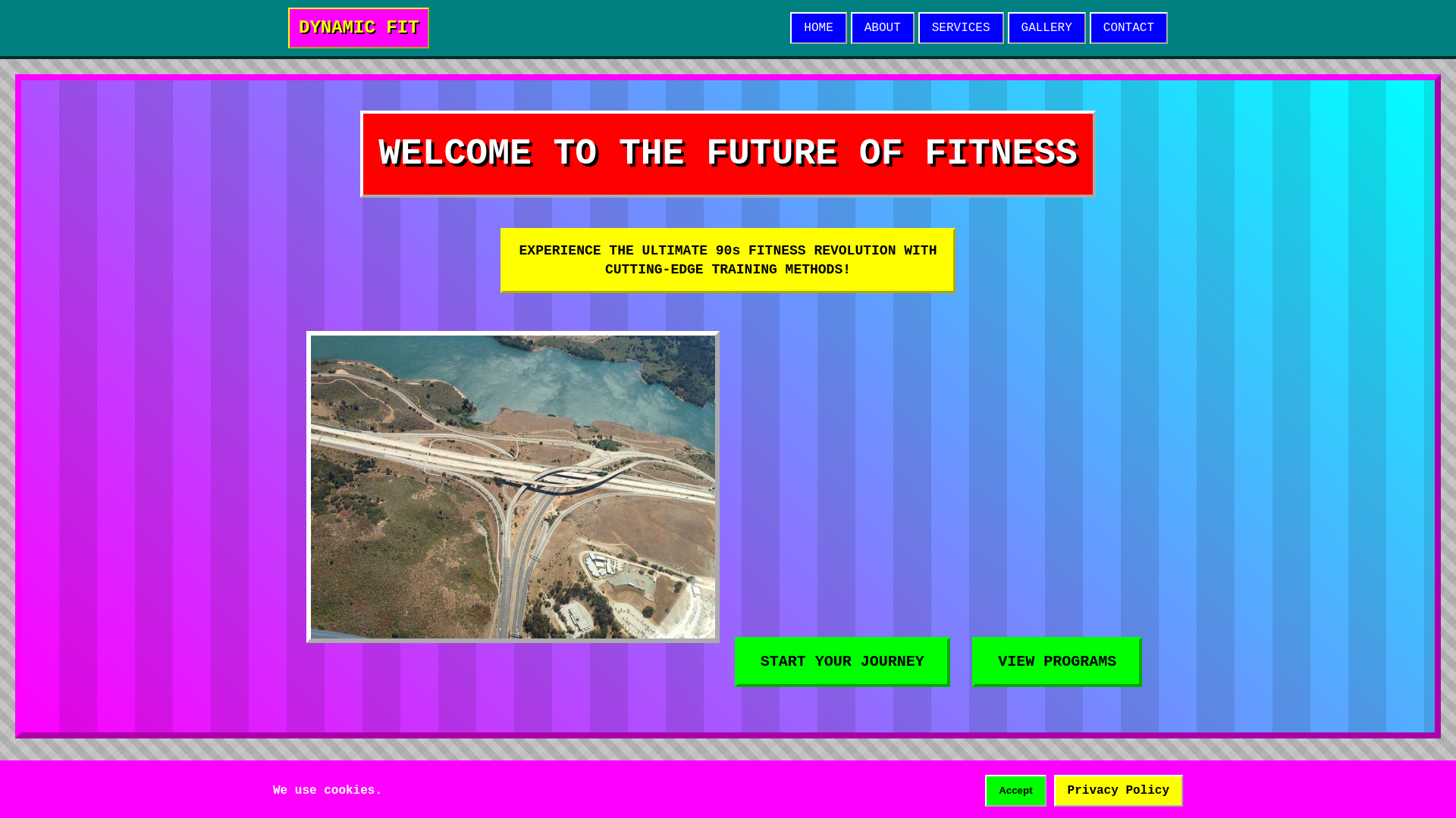 website screenshot of https://dynamicfitdirection.cyou