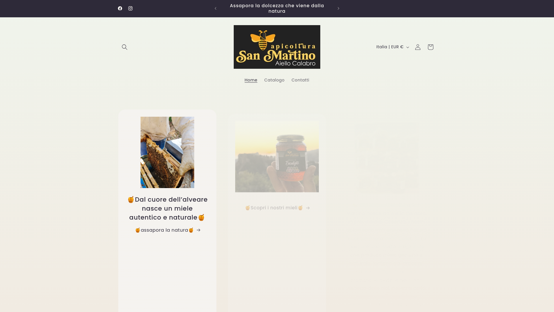 website screenshot of https://mieleoriginesanmartino.it/