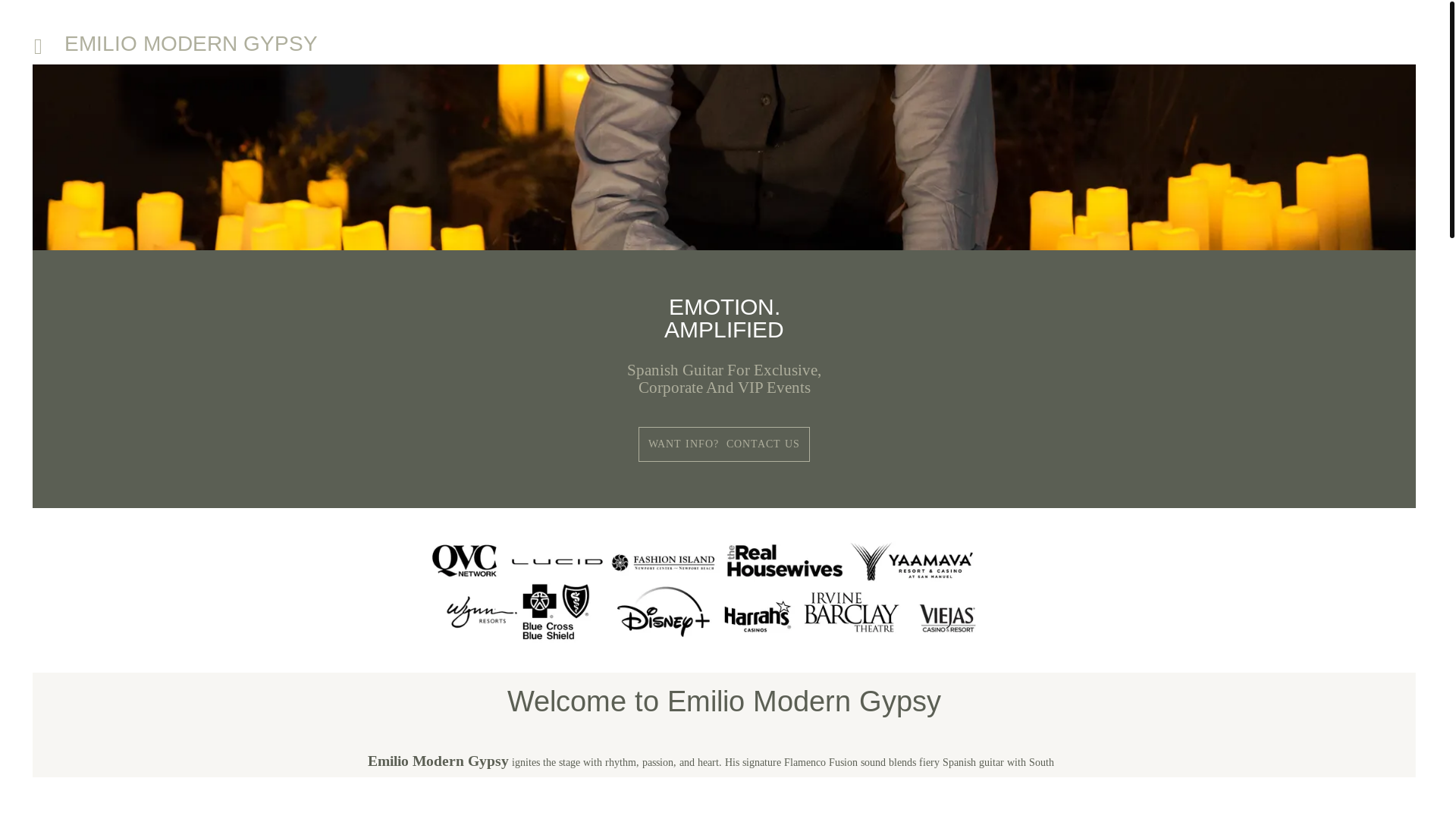 website screenshot of https://spanishguitar.vip/