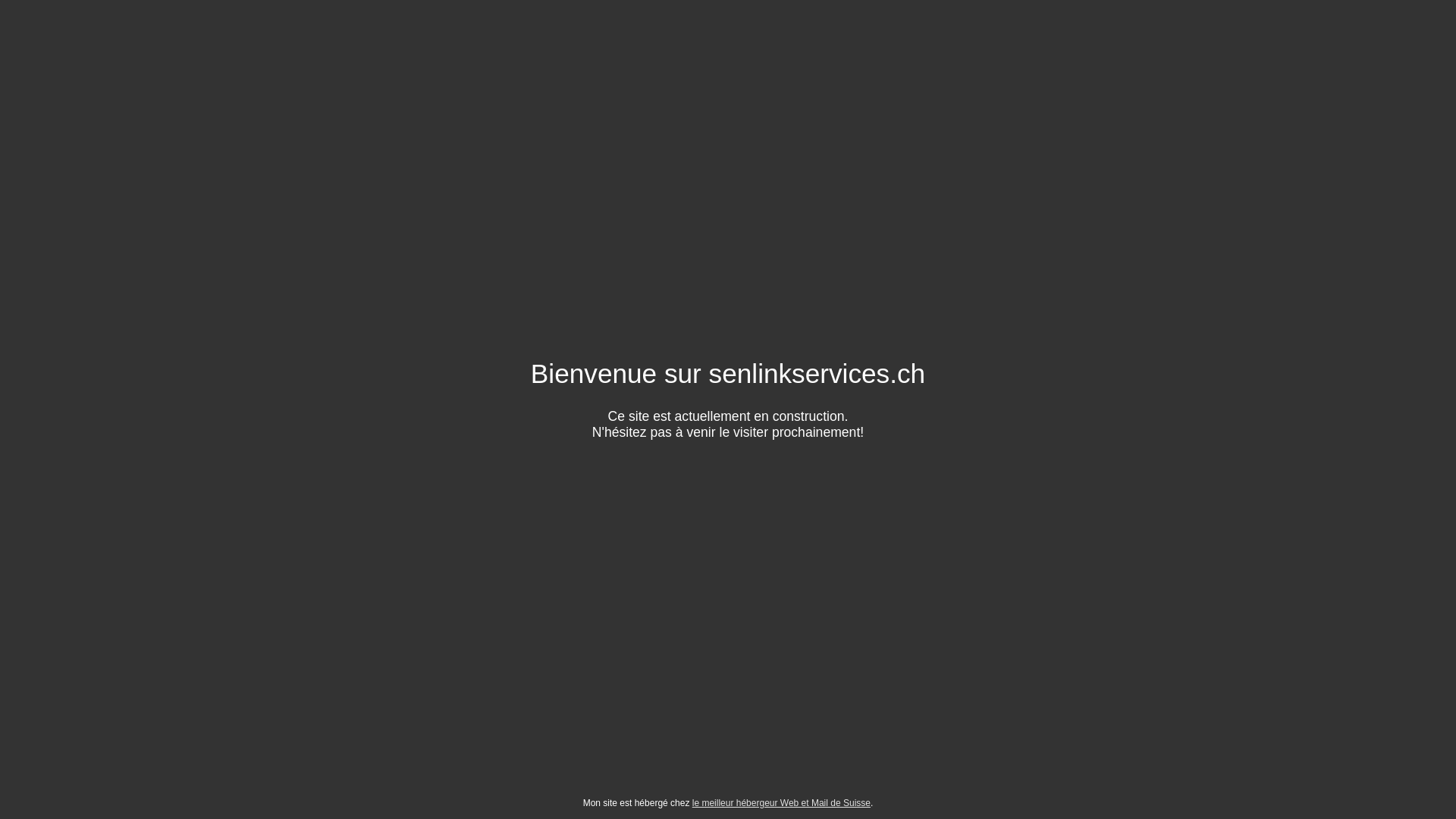 website screenshot of https://senlinkservices.ch/