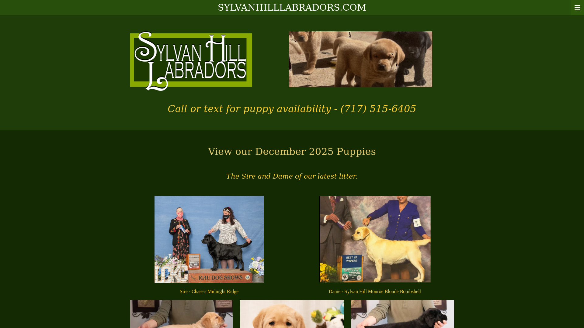 website screenshot of https://sylvan-hill-labradors.com/