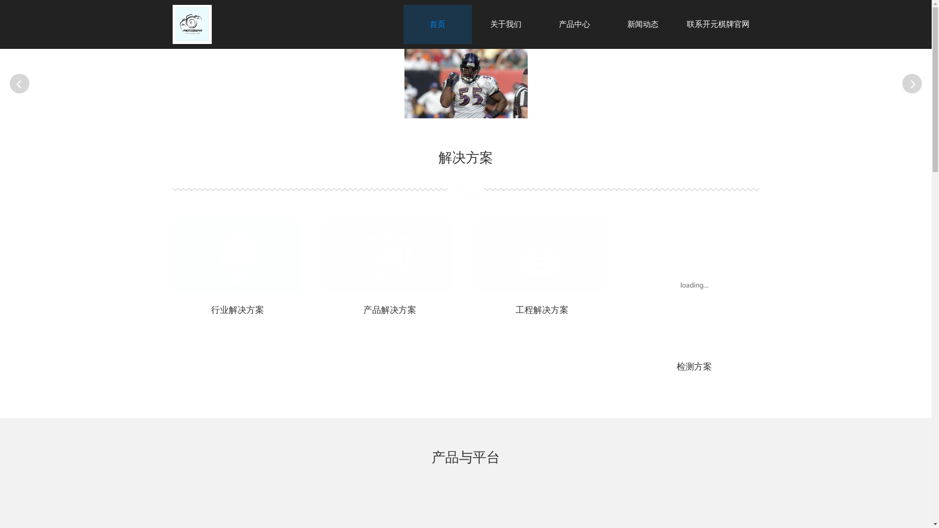 website screenshot of https://vpn-kaiyuan.com/