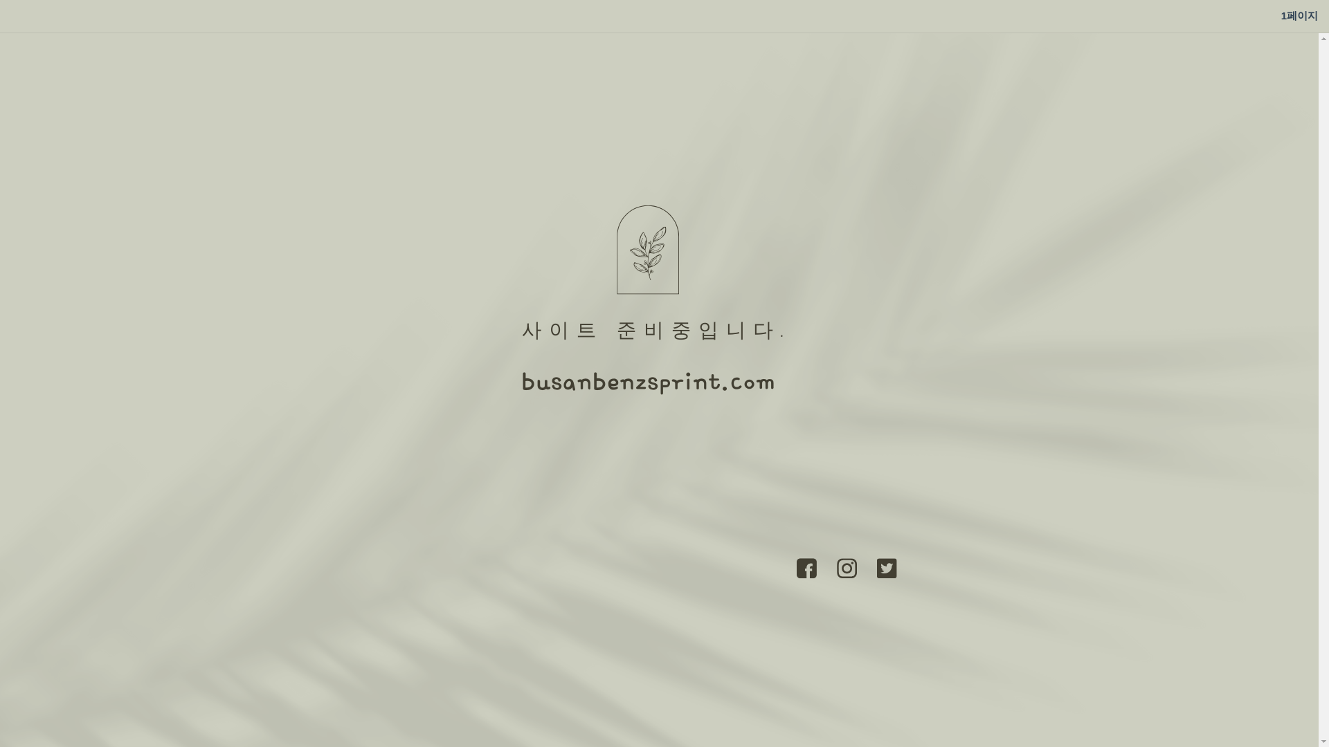 website screenshot of https://busanbenzsprint.com/