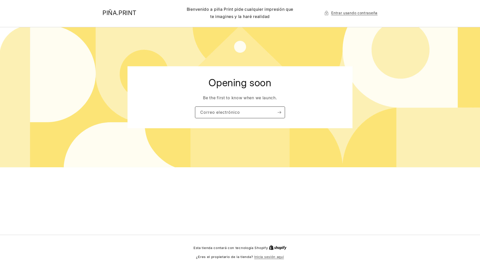 website screenshot of https://destructorfenix.com/