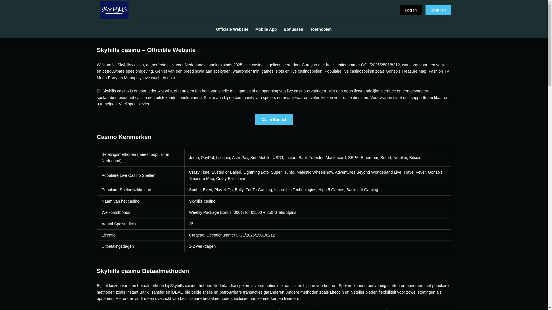 website screenshot of https://casino-skyhills-nl.pages.dev/