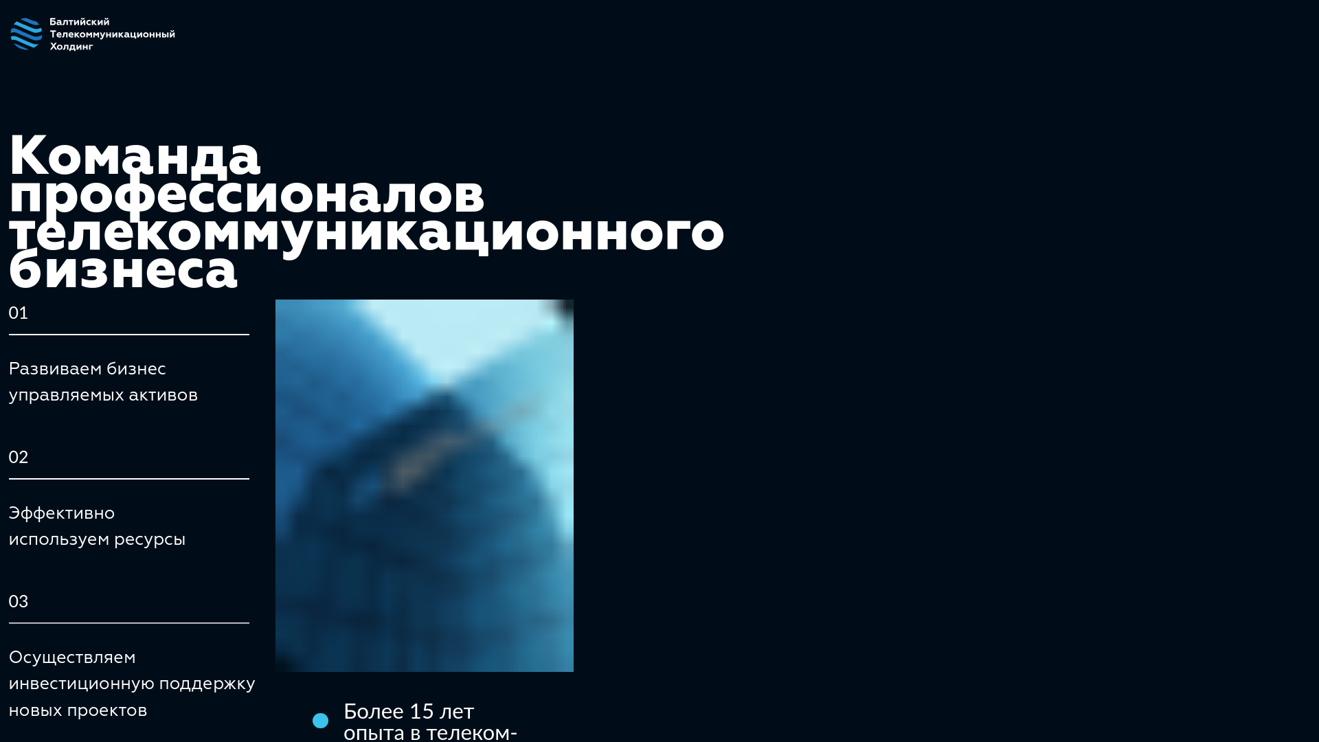 website screenshot of https://bth.su/