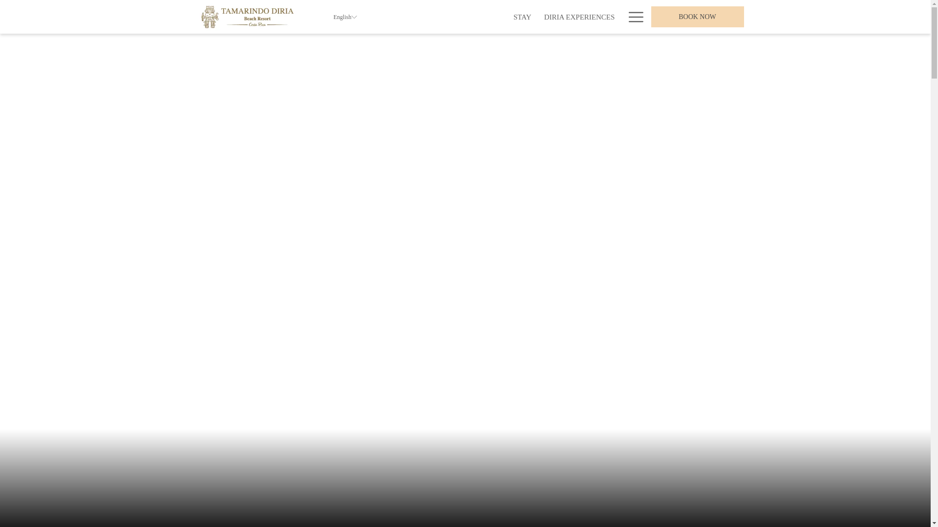 website screenshot of https://tamarindodiria.com/