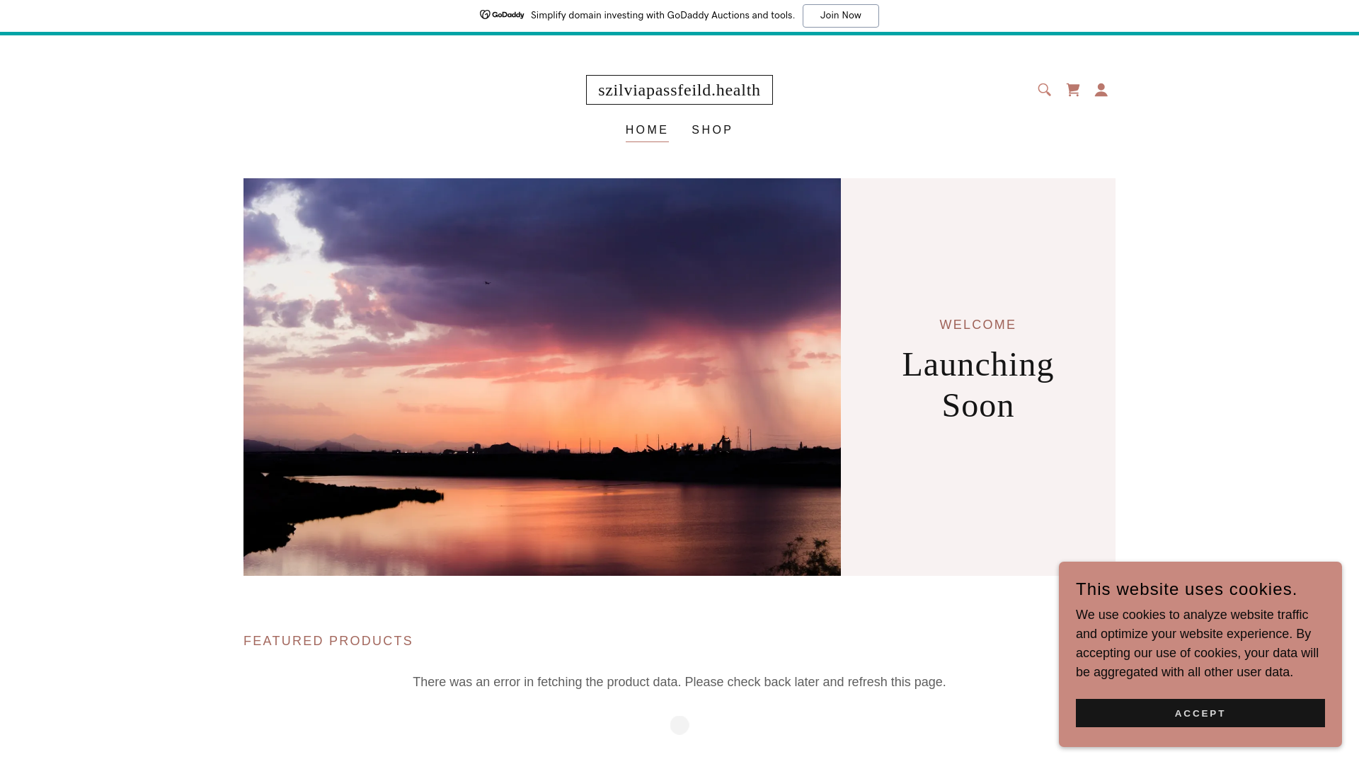 website screenshot of https://szilviapassfeild.health/