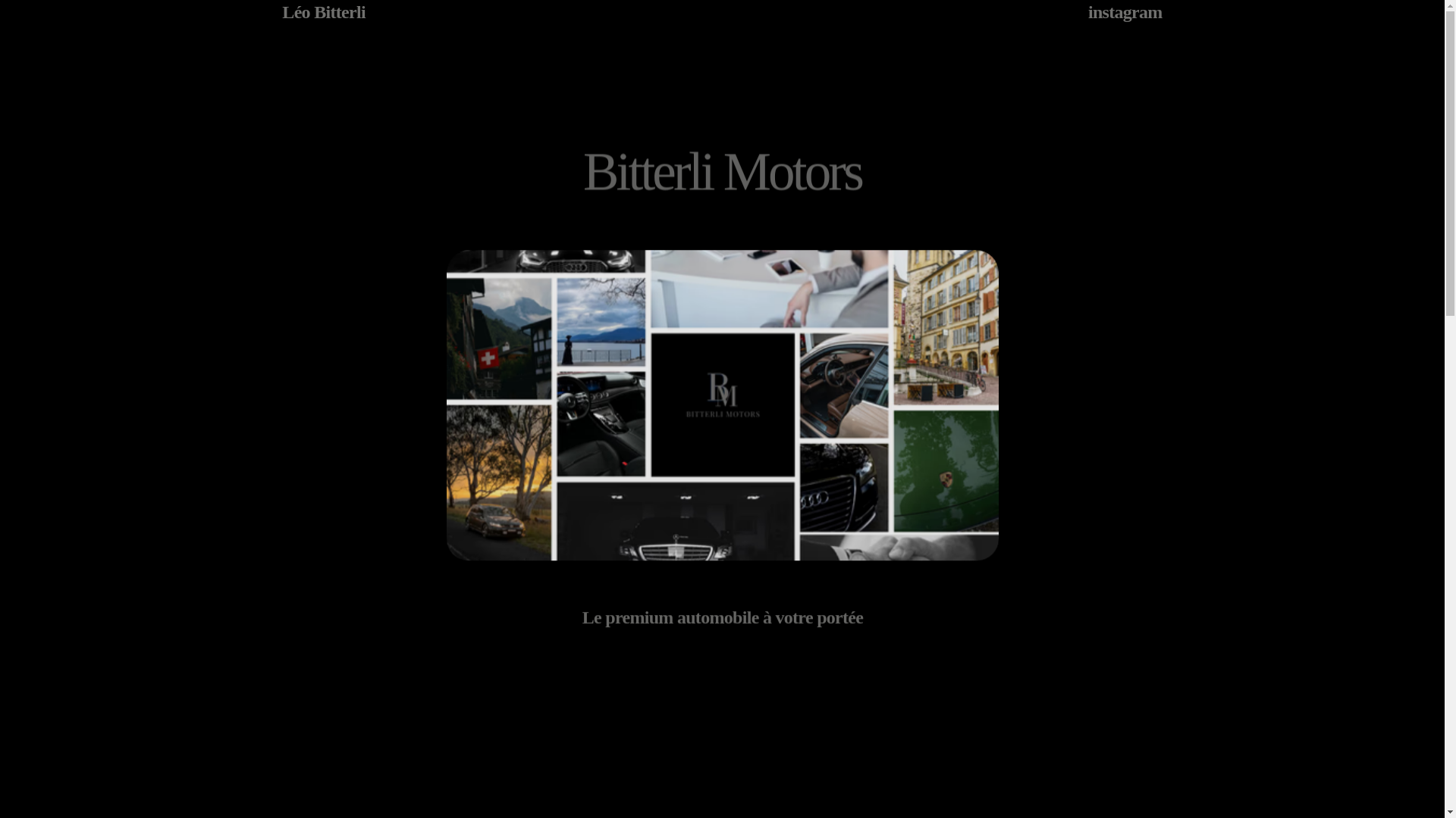website screenshot of https://bitterlimotors.com/