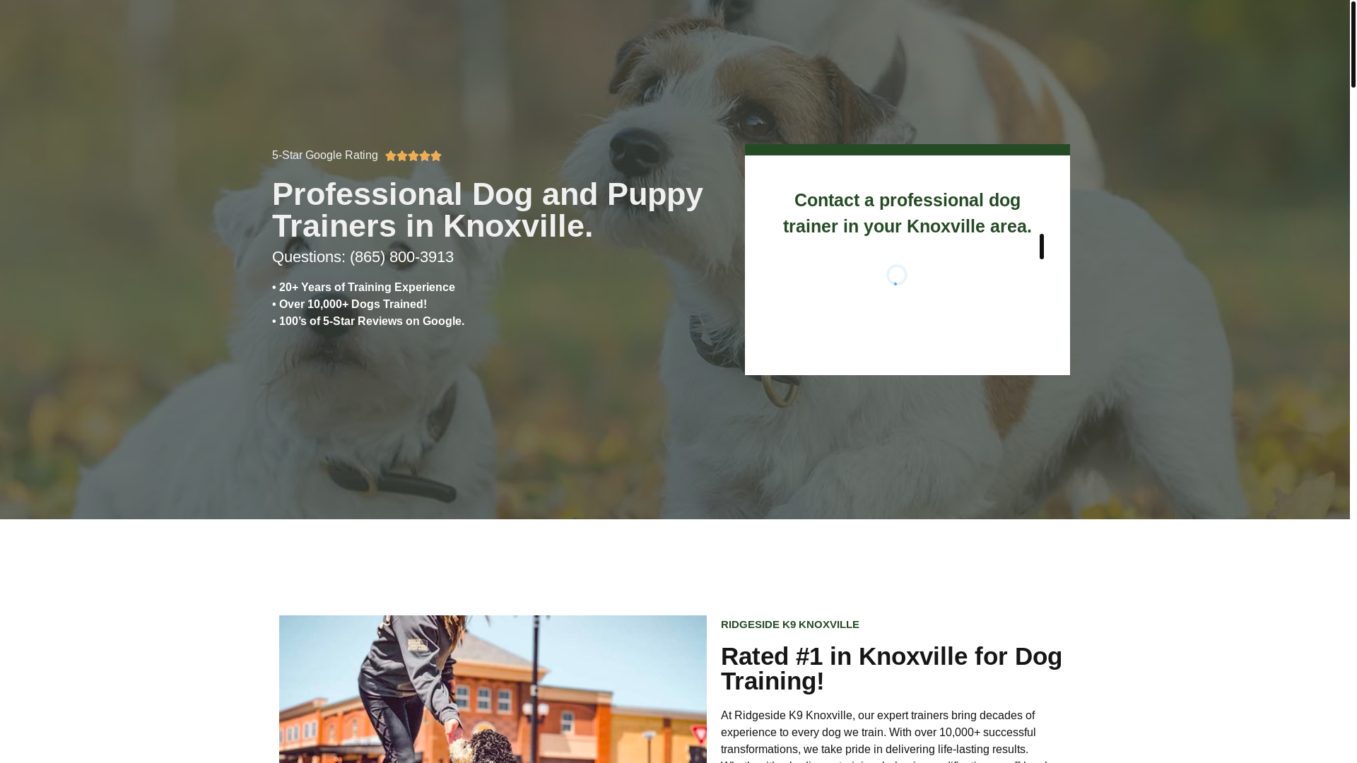 website screenshot of https://ridgesidek9tn.net/